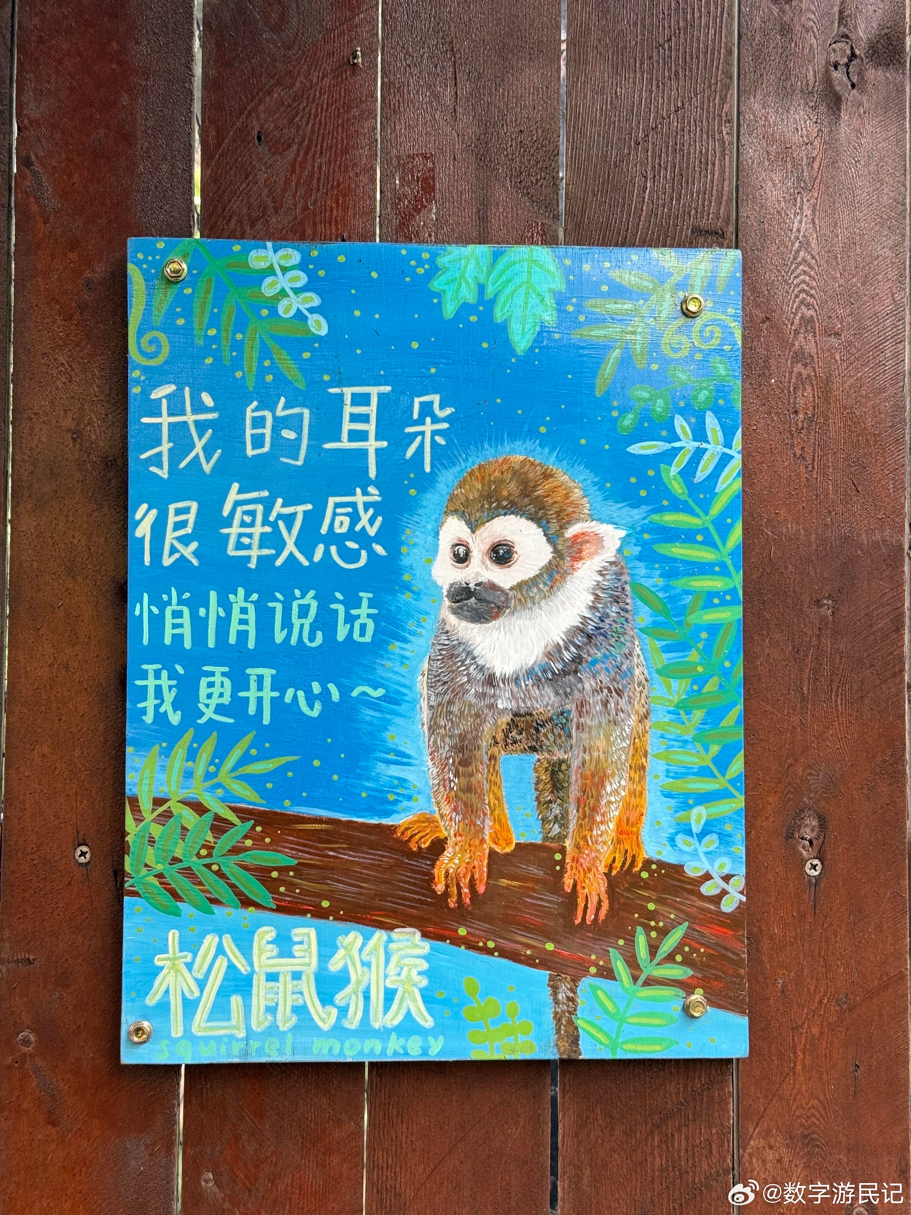 地球这个大舞台，保持点“边界感”，才是对毛孩子们最长情的守护嘛～不投喂是对动物最