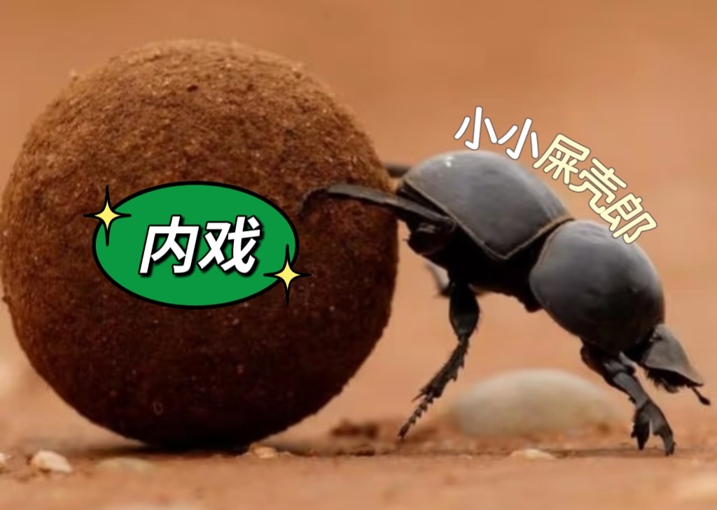 不行就不行，播再多还是不行！