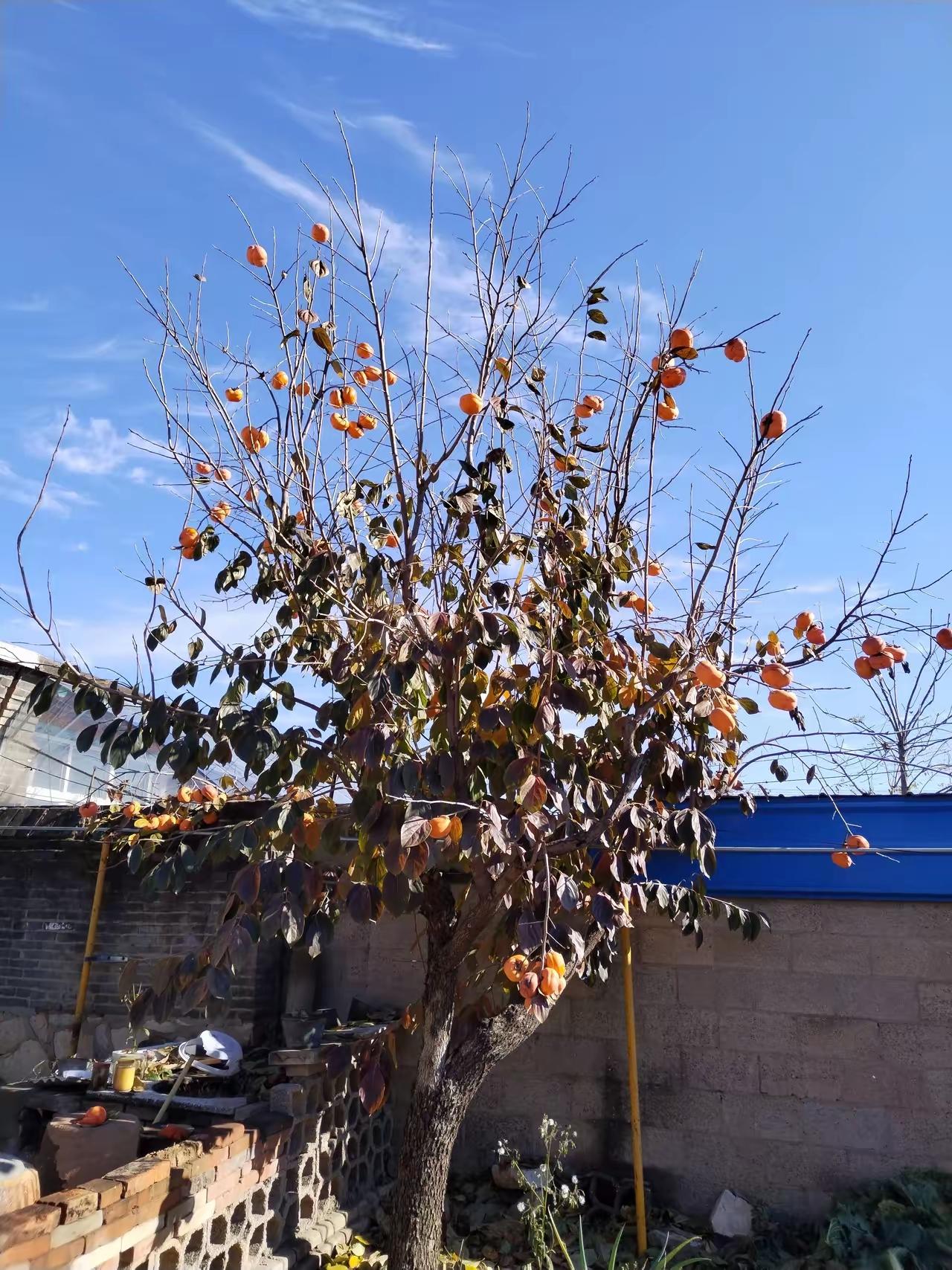 刷到这样一个故事，一纸手写遗嘱，道尽父母的清醒与亲情的重量
 
刷到一个很戳中年
