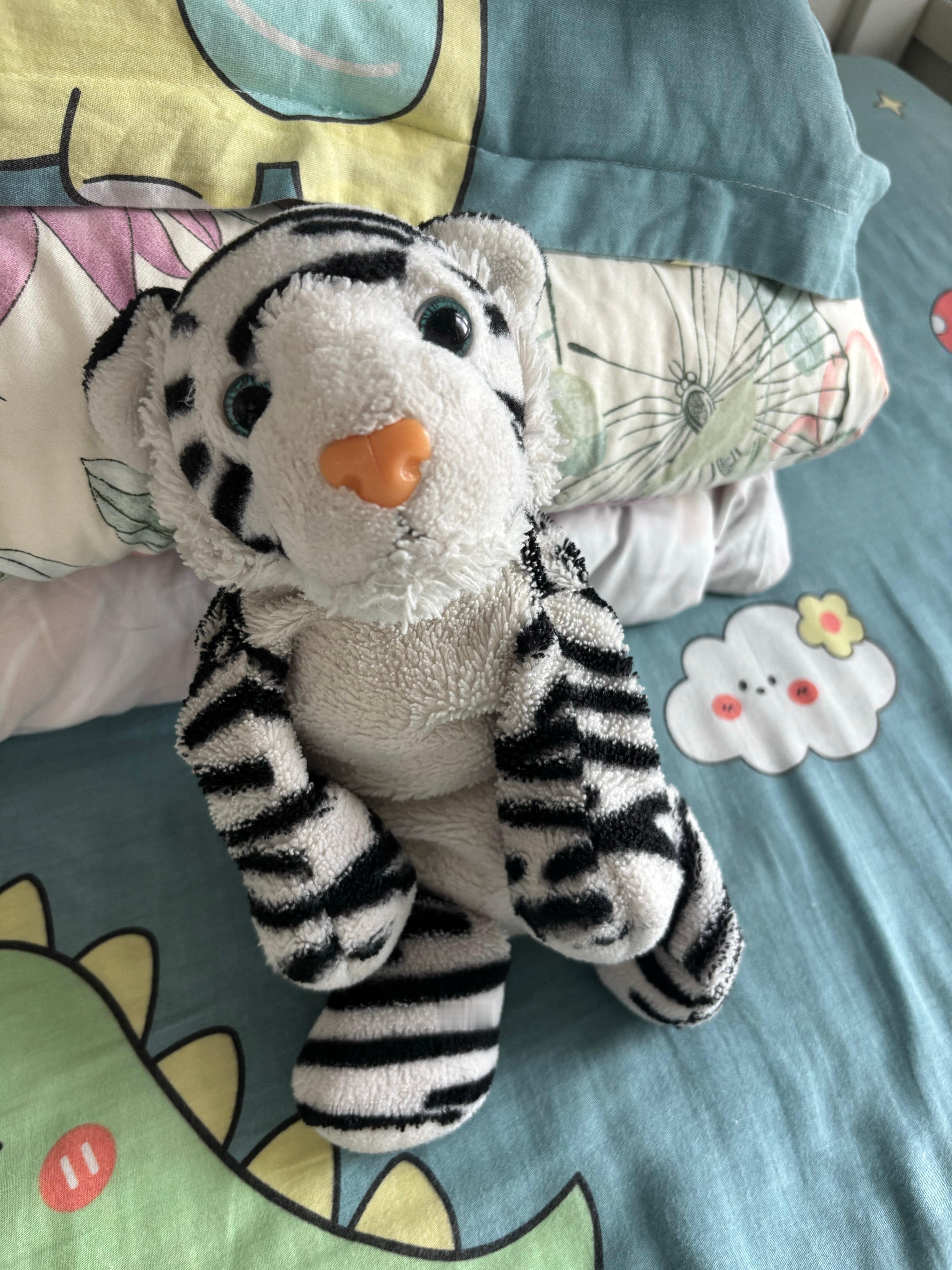 外甥打开行李箱往外掏东西，我笑了。他居然还带了这只老虎仔。据说他去当兵的两年也是