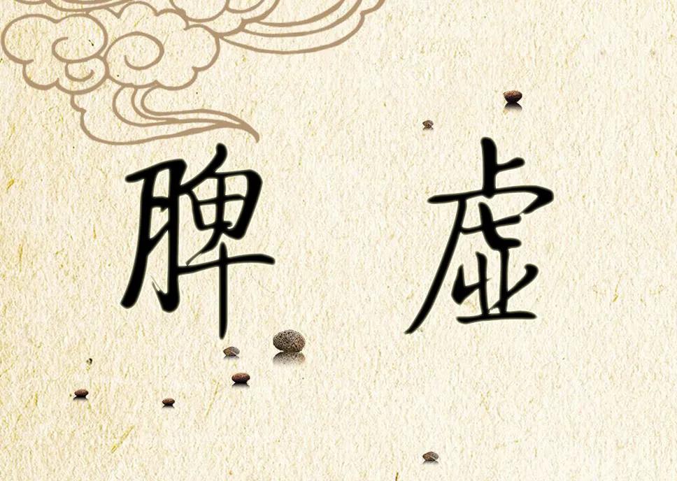 百病归于脾，脾好百病消——揭秘养脾的五个关键阶段

在中医理论中，脾被誉为“后天