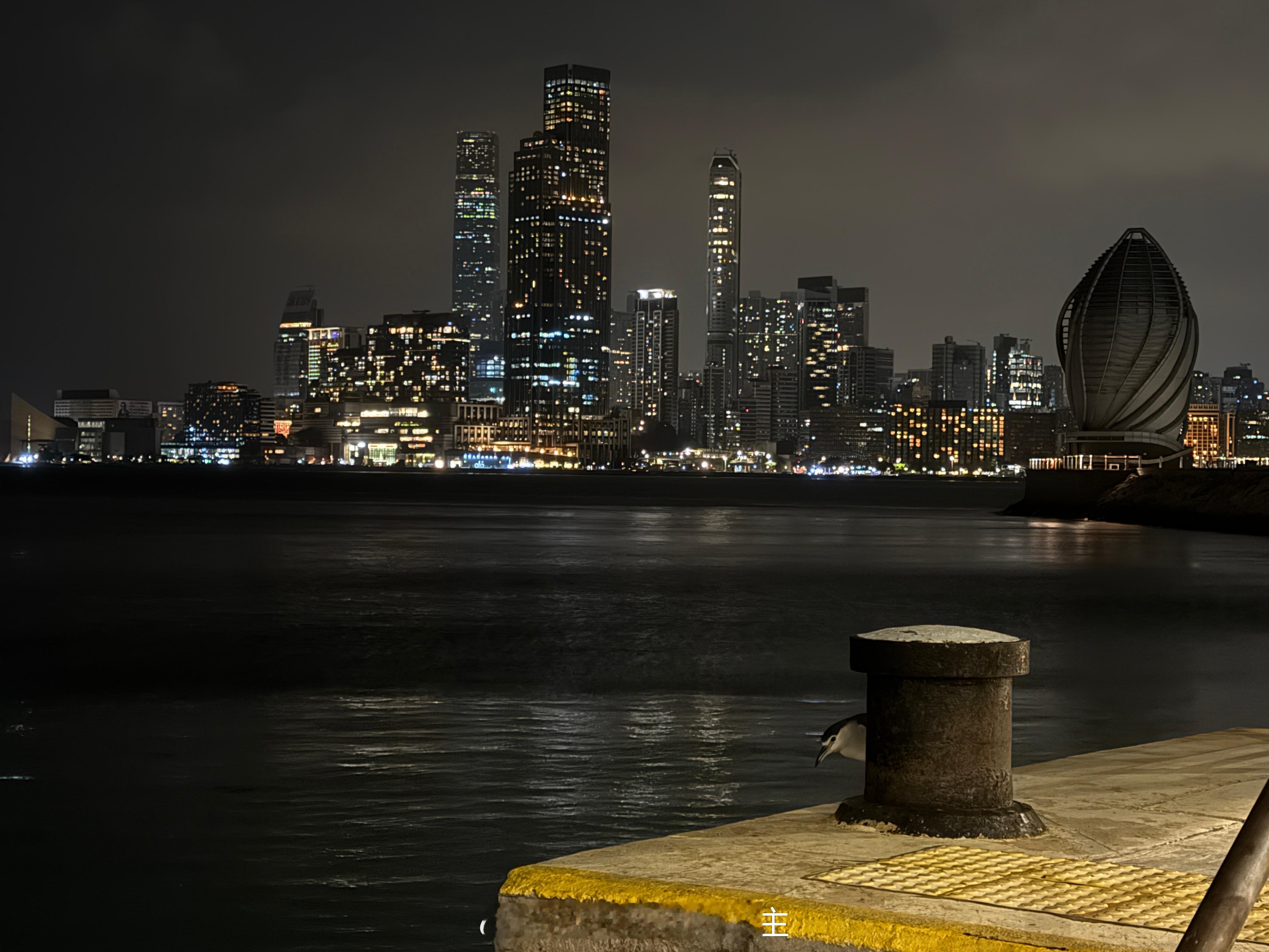 这是企鹅么？🐧 香港·铜锣湾