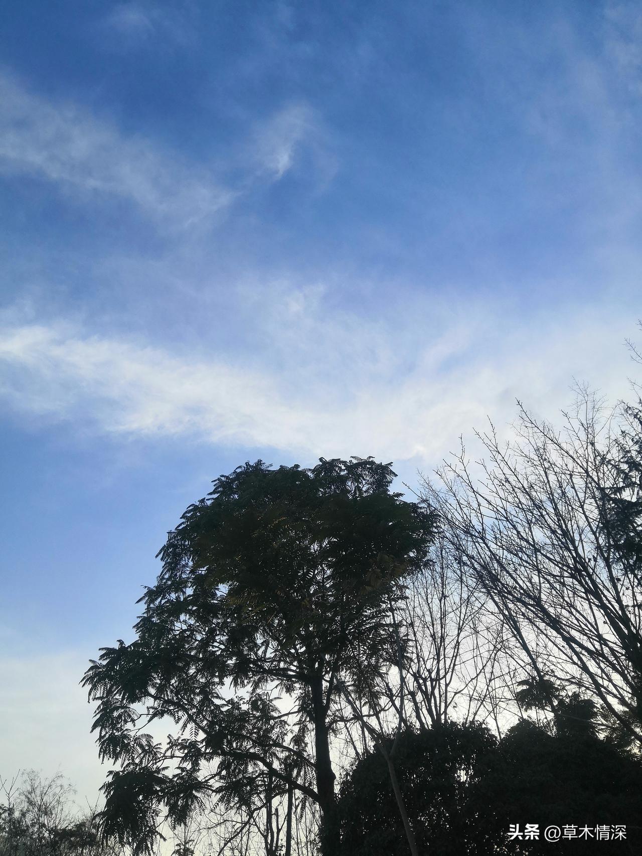 广汉市，广汉市手机报上面了解到，在4月1日中小学春日游，这个意思就是说，迎来了春