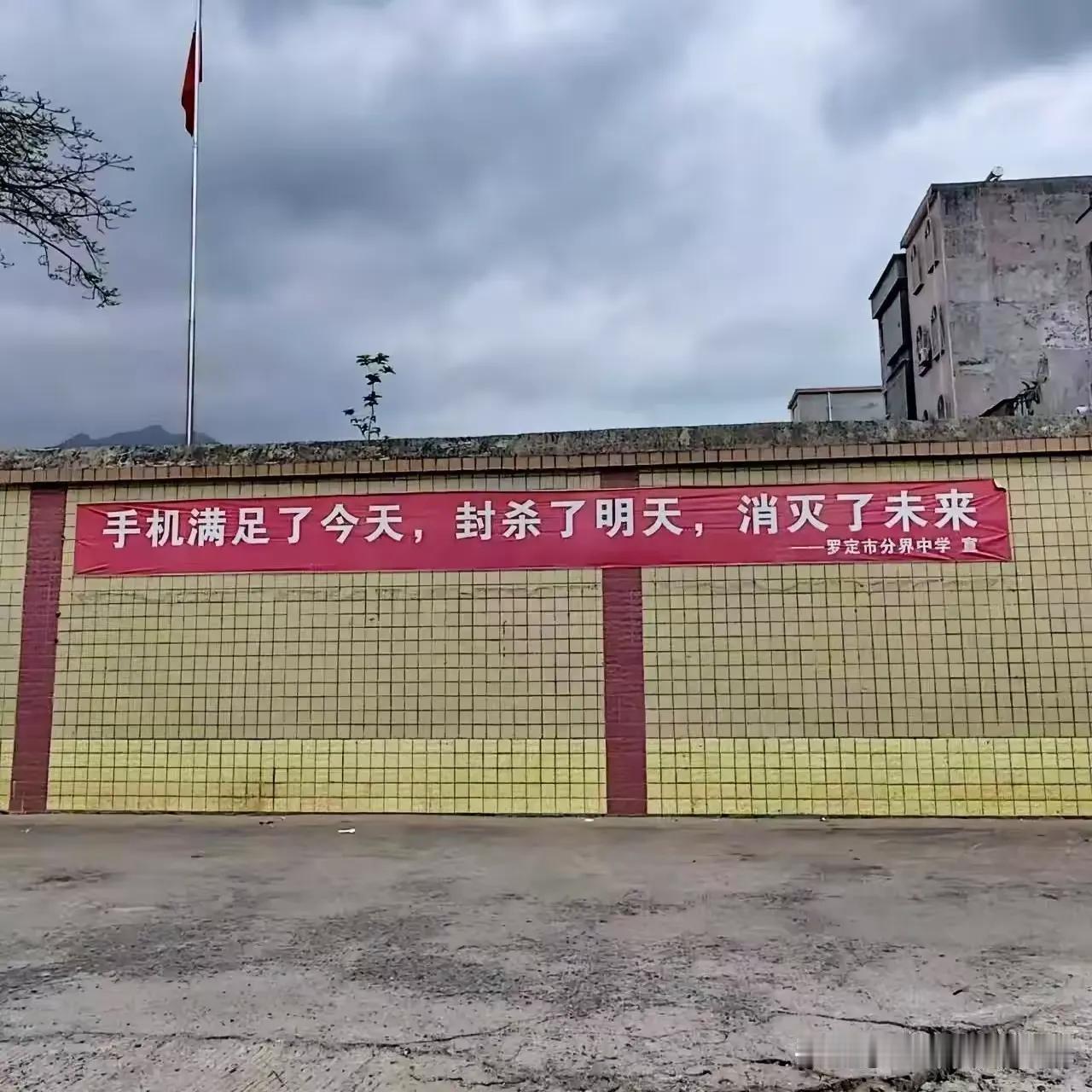 手机不背这个黑锅！
“手机，满足了今天，封杀了明天，消灭了未来！ ”这句话深刻揭