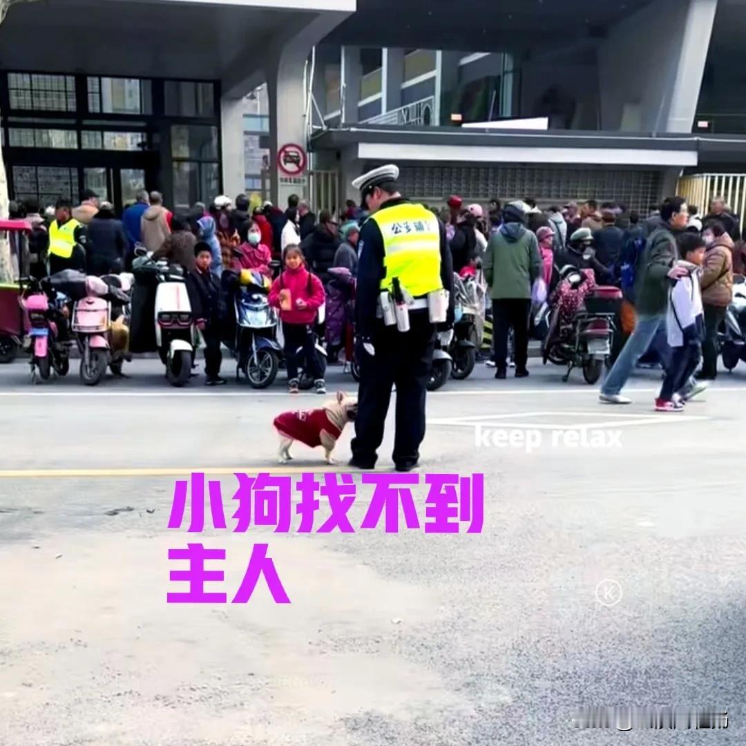 学校门口，警察叔叔正在执勤。一只小狗跑到他面前，不停地围着他转，还不时抬头望着他