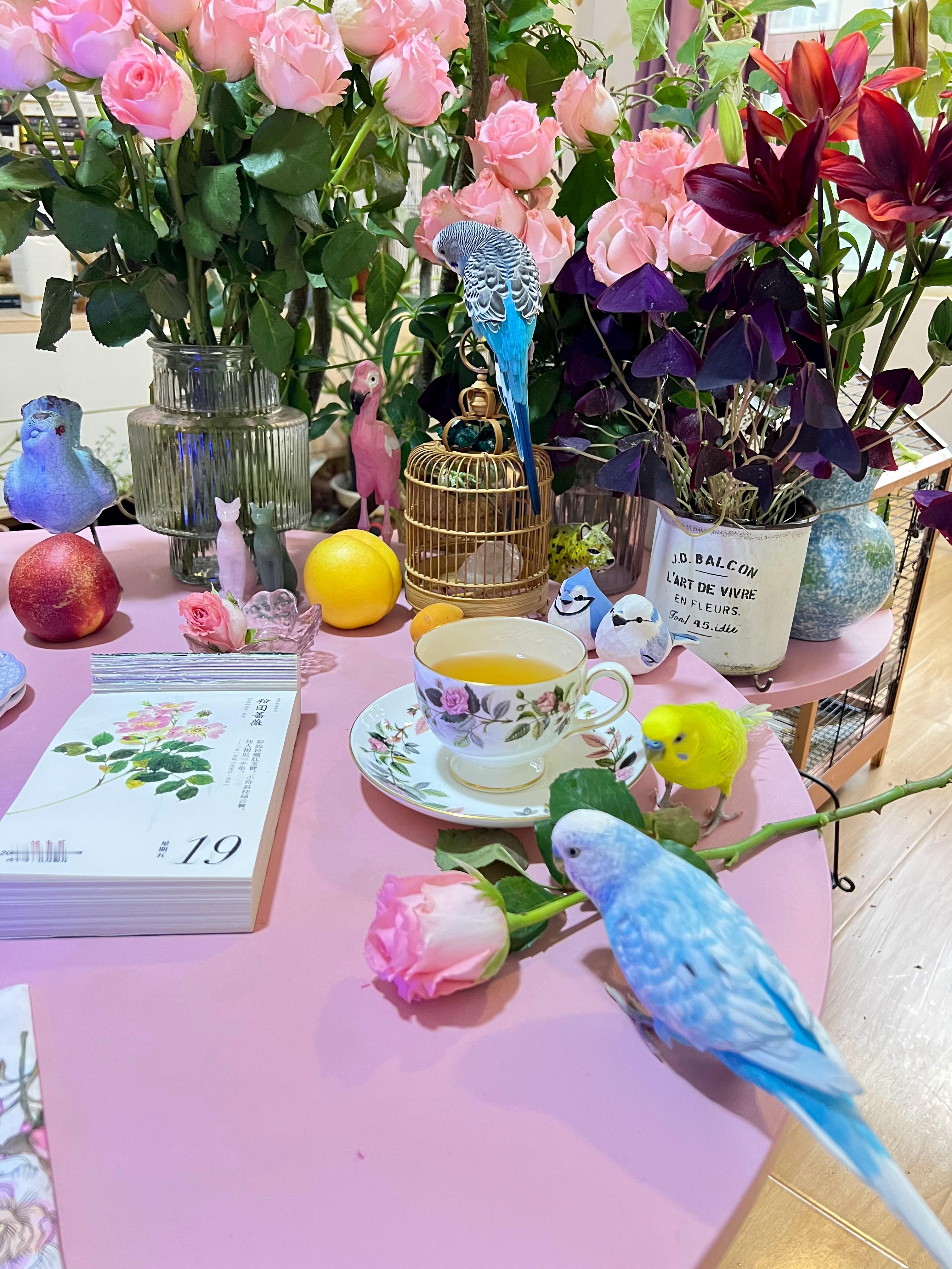 端午节，买了艾蒿，却忘了买粽子。与鸟孩子们喝个🍵🦜下午茶 吃块糯米红豆饼🥧