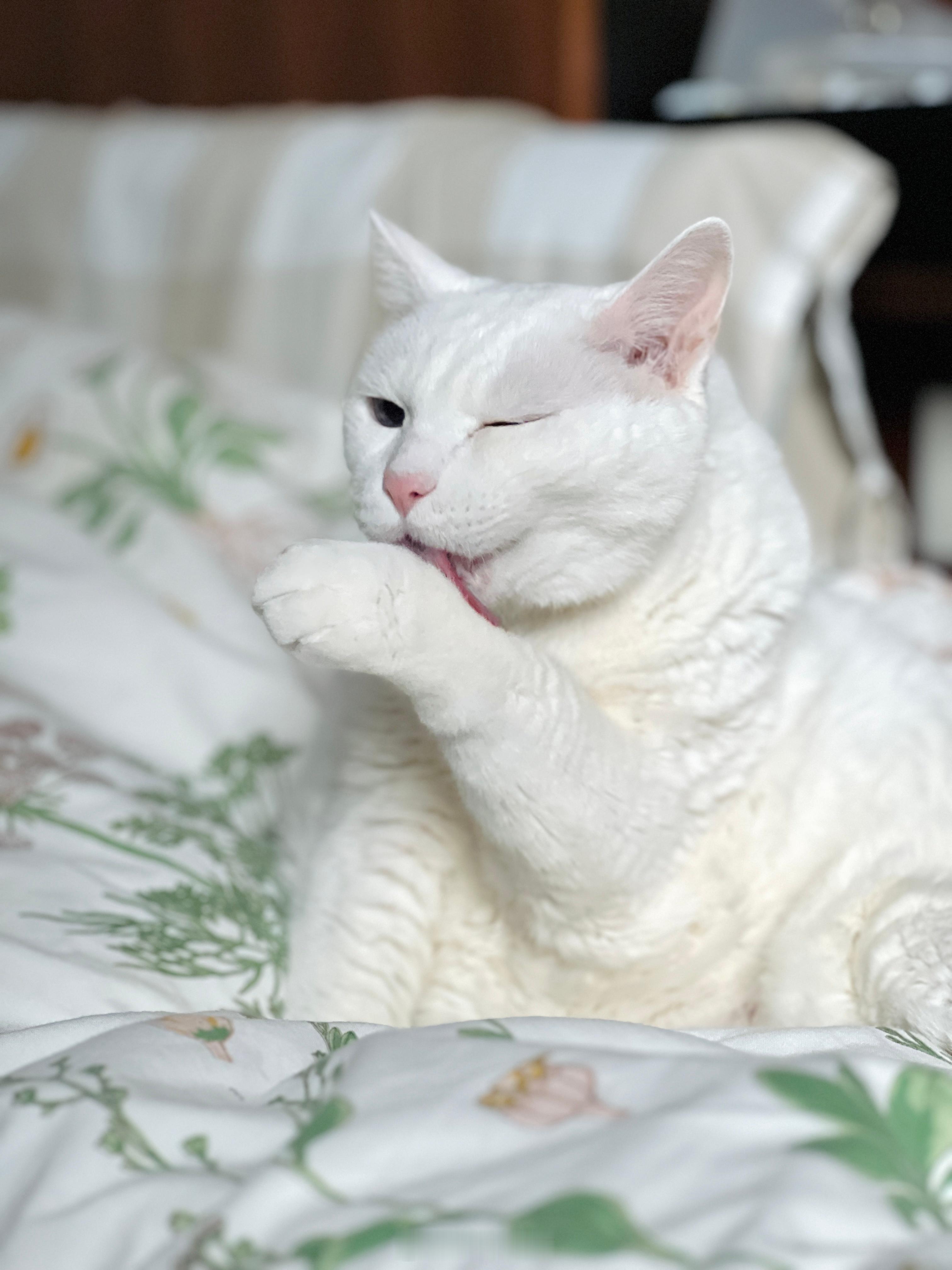 星期六的偶真訴香～ 