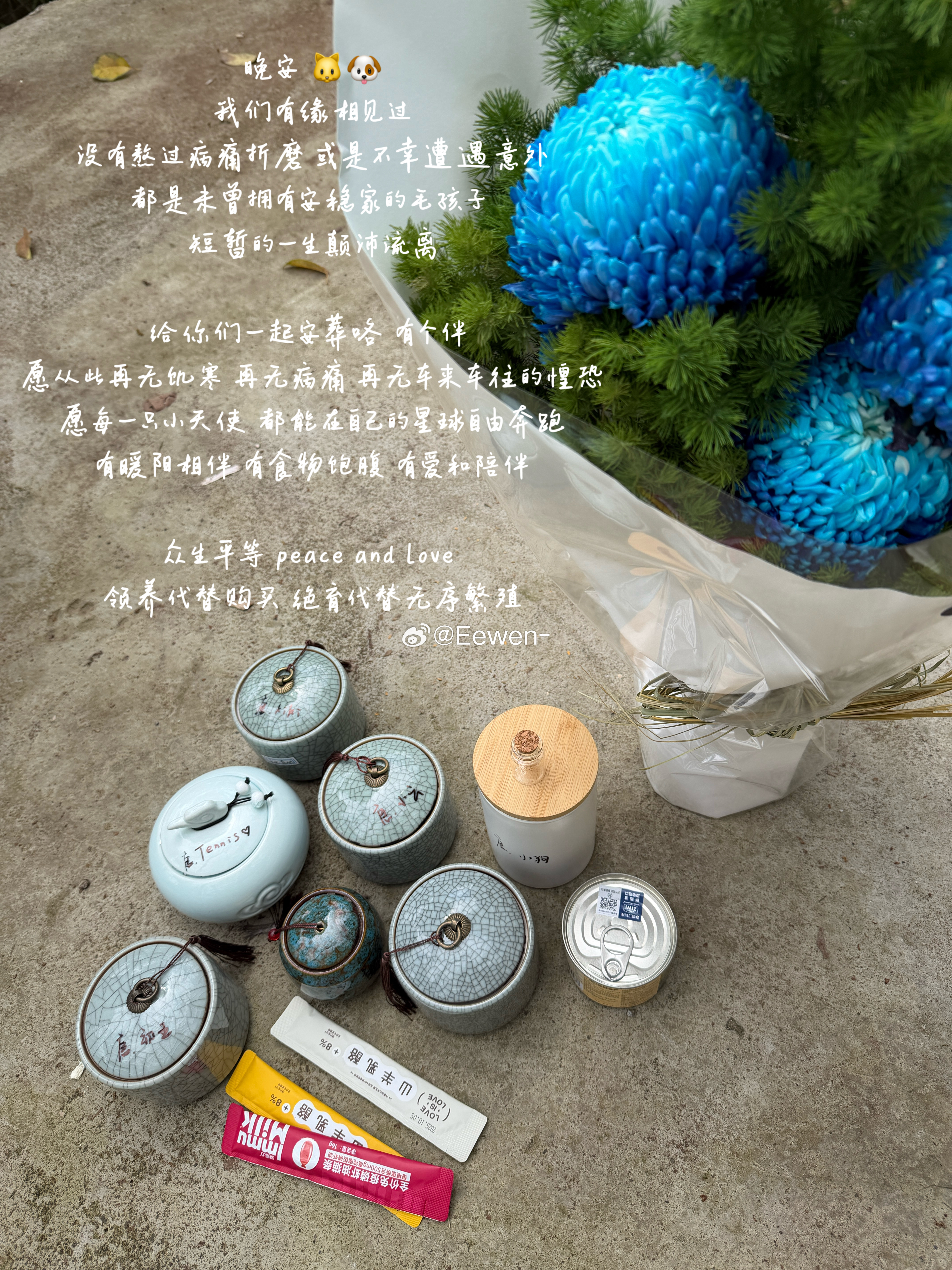 说真的 作为一个合格的宅女还没真正踏出门感受杭州美丽的春天过 🌼🌷💫今天想