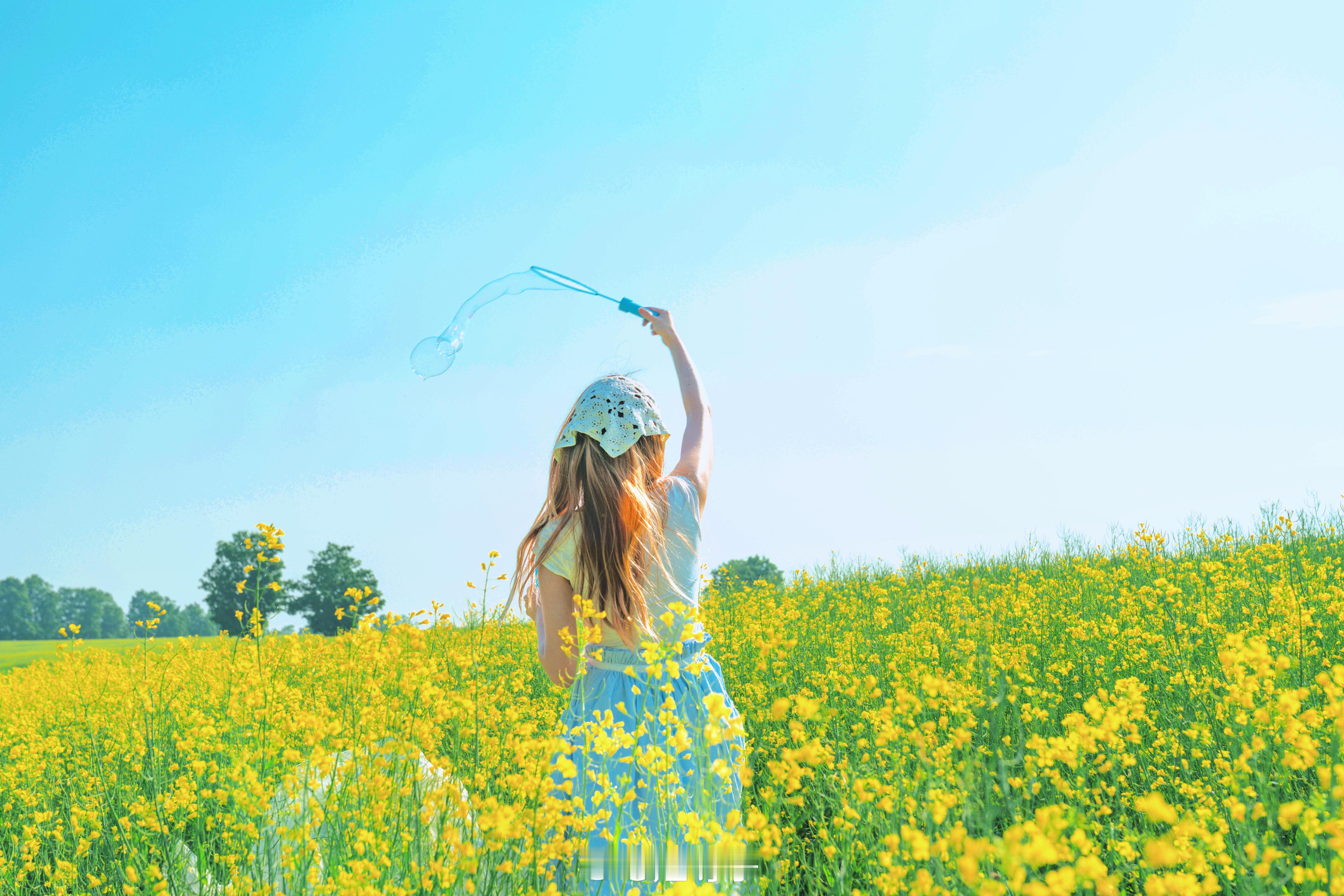 油菜花的夏日写真[超话]  ​​​