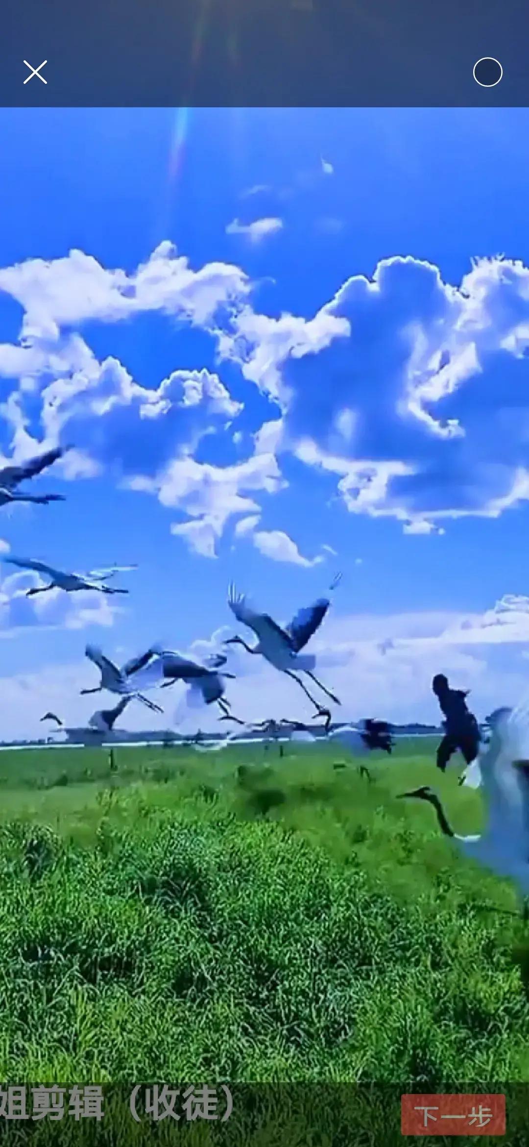 晨兴鸟语催诗韵
暮起霞光促画情