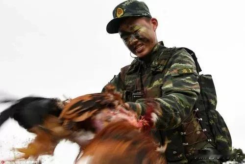 北海舰队捉鸡，海事局发布四艘沉船提醒，日舰误入我国领海，都发生在昨天，7月12日