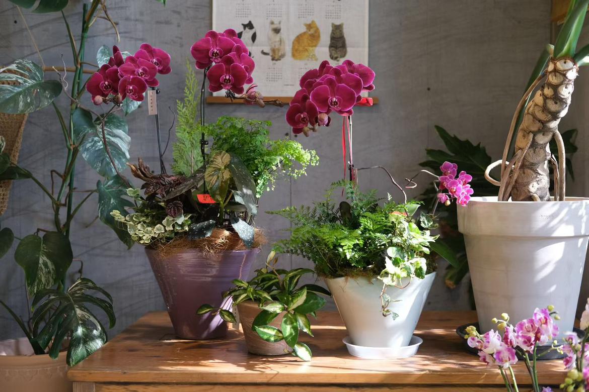 我的今日状态：😁轻松愉快
我这里的天气：☀️晴天