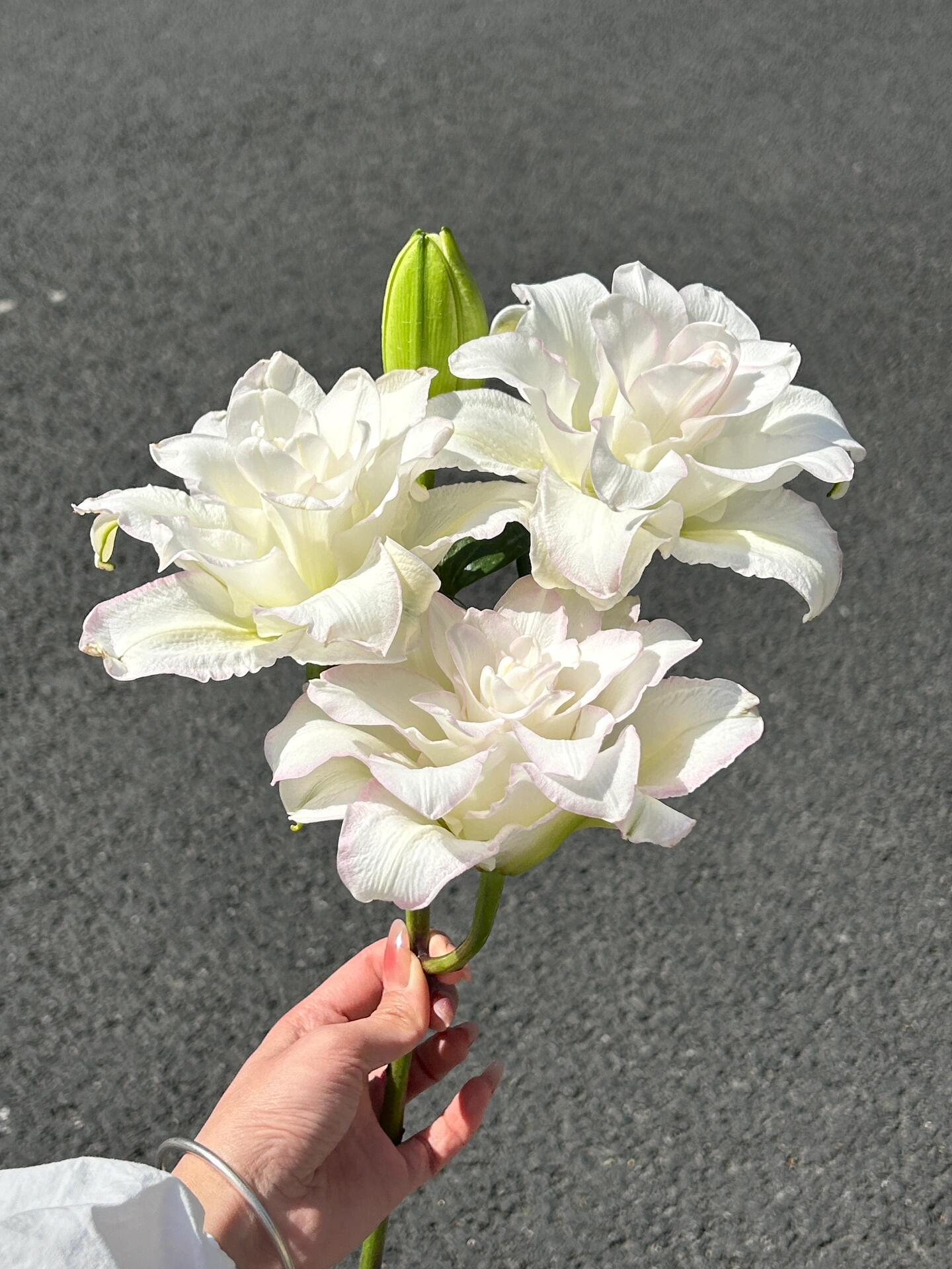 花束是可随身携带的春天💐 