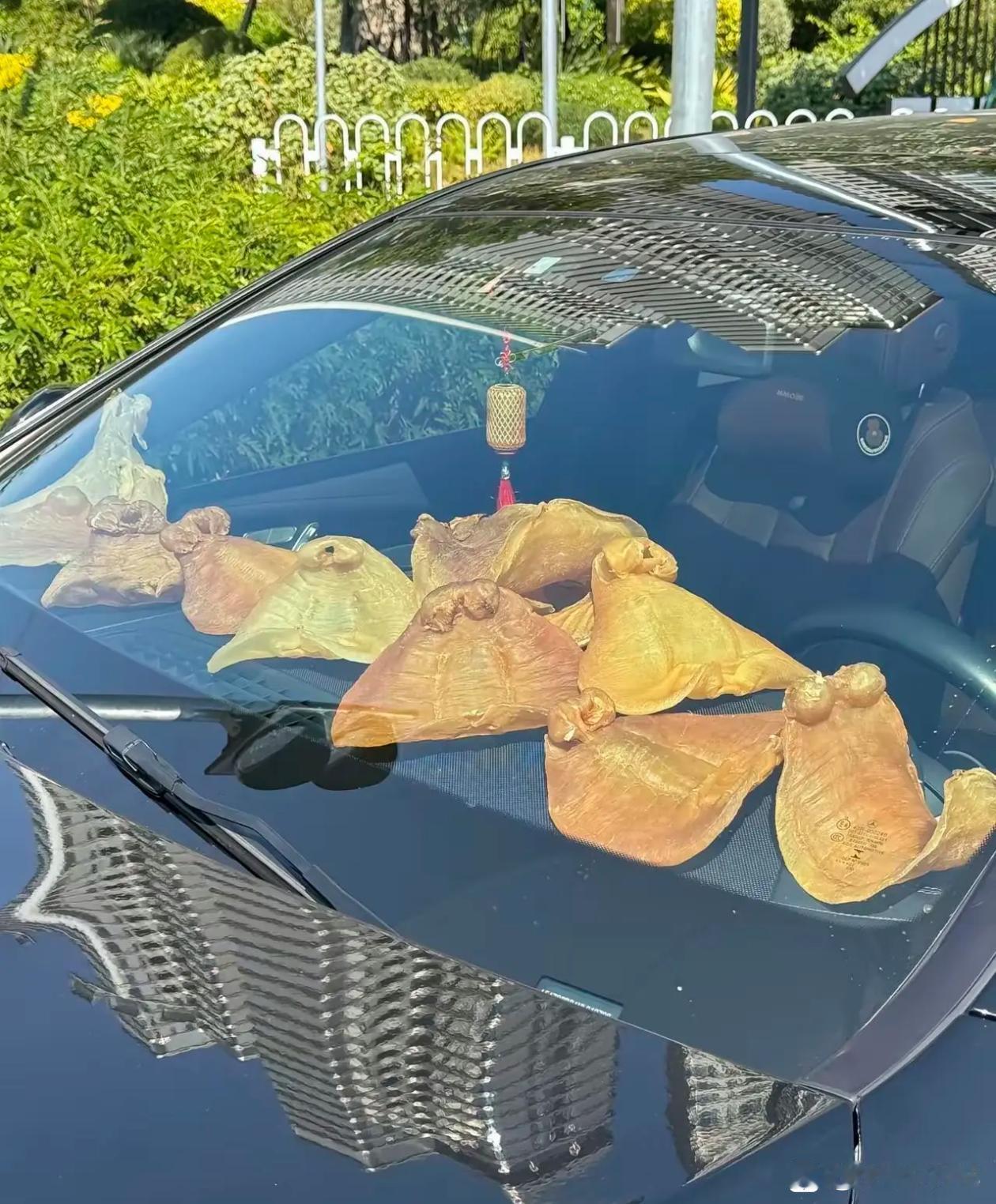 这也敢晒，不怕丢了！