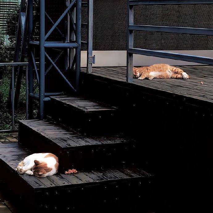 🌼 ̖́-ꪶ𝓲ᠻꫀ✨    “任何关系 都是阶段性陪伴，别太上头      