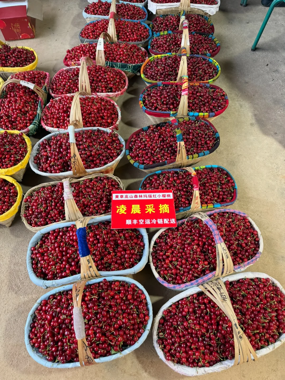 果期还剩一周就下架了，错过了等明年！