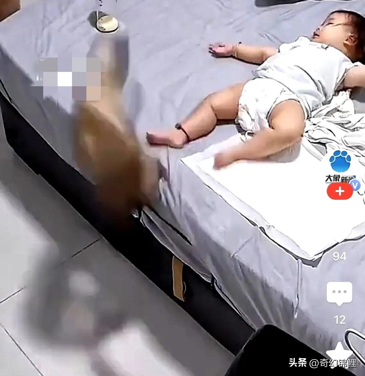 吓出一身冷汗！

山东一宝宝正睡着，家里大橘突然猛扑上去，结局万万没想到

这两