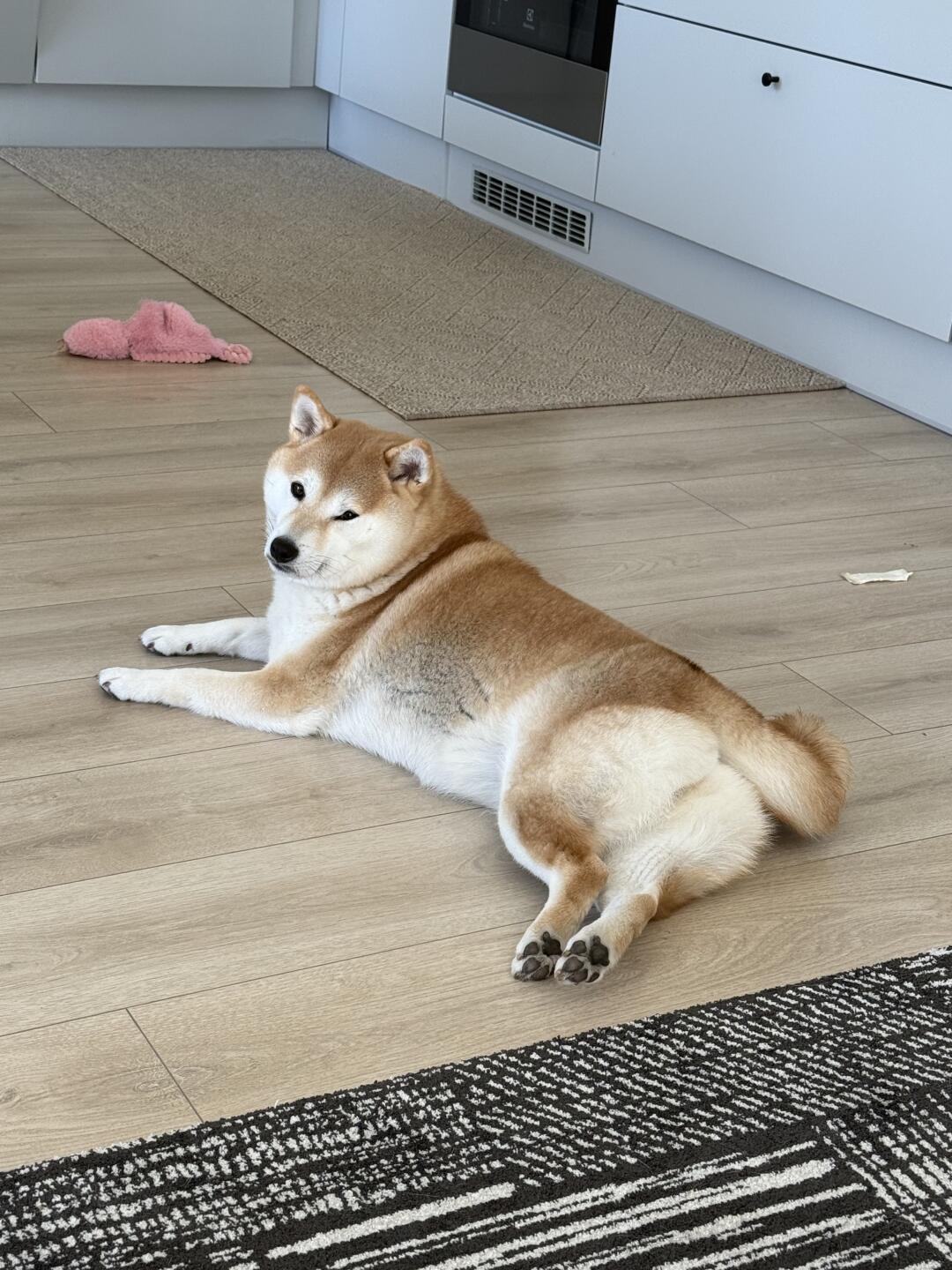 过于妖娆了💅