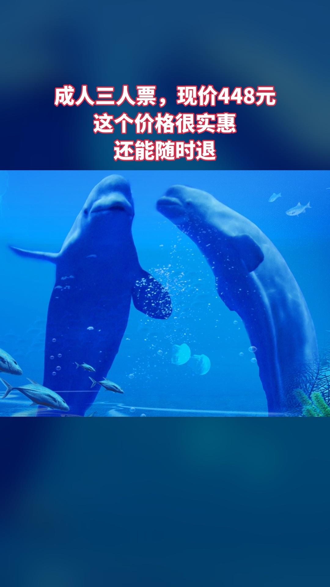 冰雪海洋世界，新鲜上架，别错过，4.1分推荐，成人三人票（注意，叠加新...