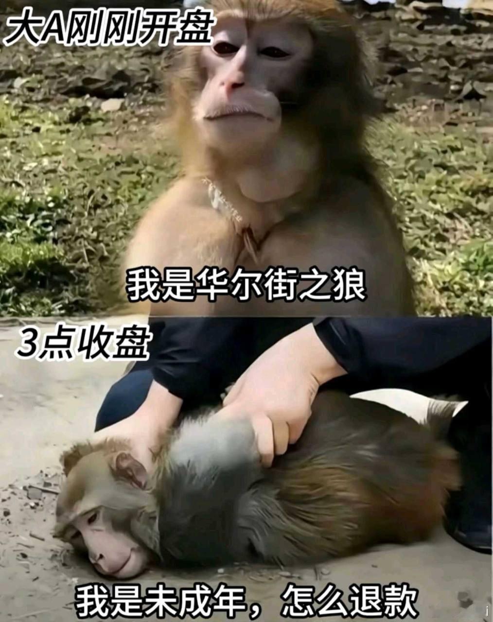 前言：如果你不是科技股多头，尽量不要看我关于科技股的言论。海力士美股上市了，首日
