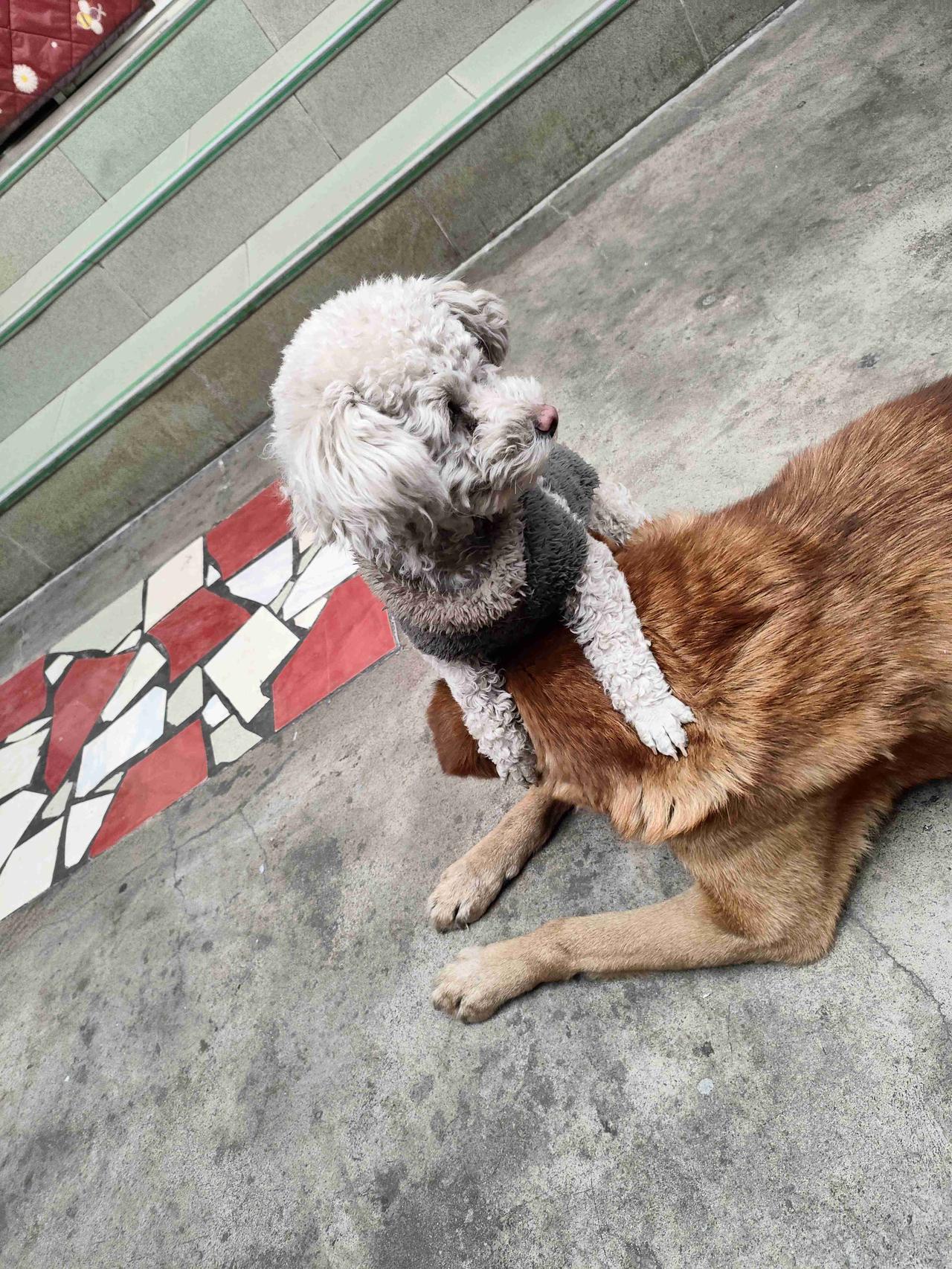 我的今日状态：😁轻松愉快
我这里的天气：☀️晴天