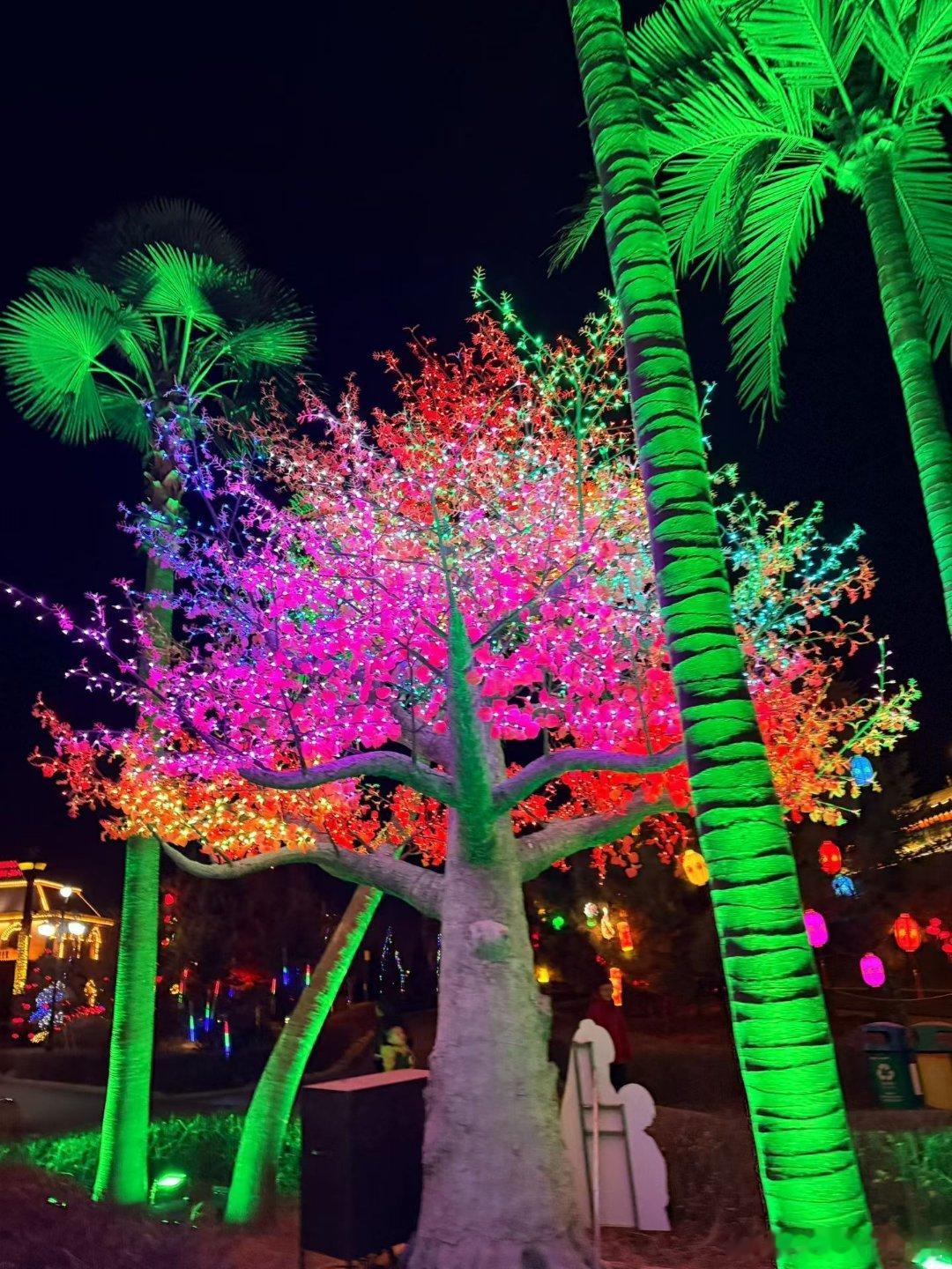 时间过得好快，今天都初四了，希望今年能有新的收获，好的运气！ 