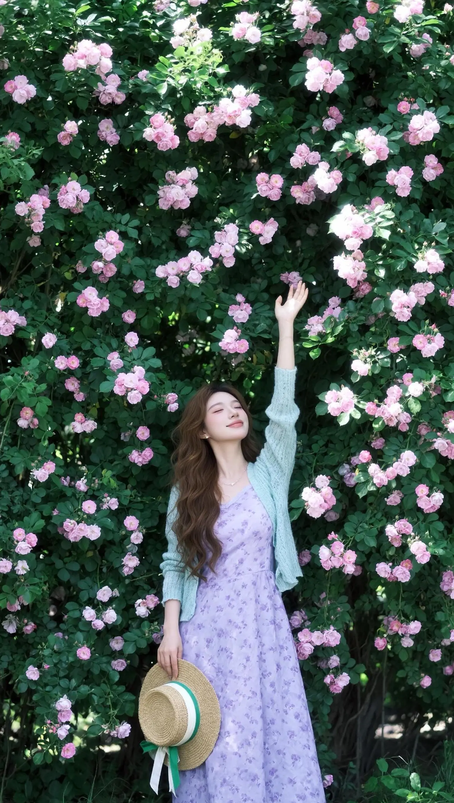 ｡˚ꕤ.ﾟ 蔷薇花开时。
