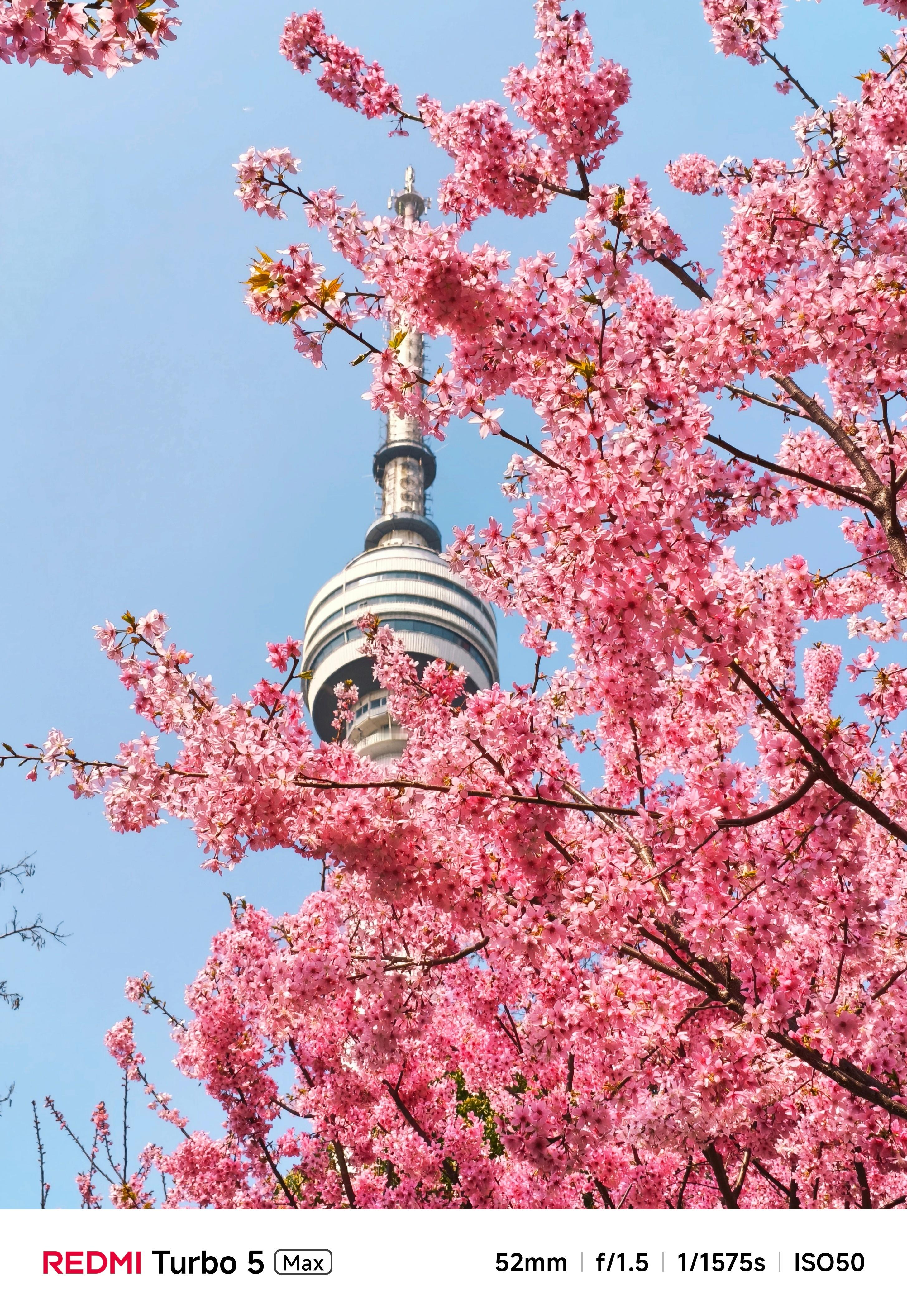 我们工作室小伙伴拿 Turbo 5 Max 拍摄的樱花、牡丹花......各种花