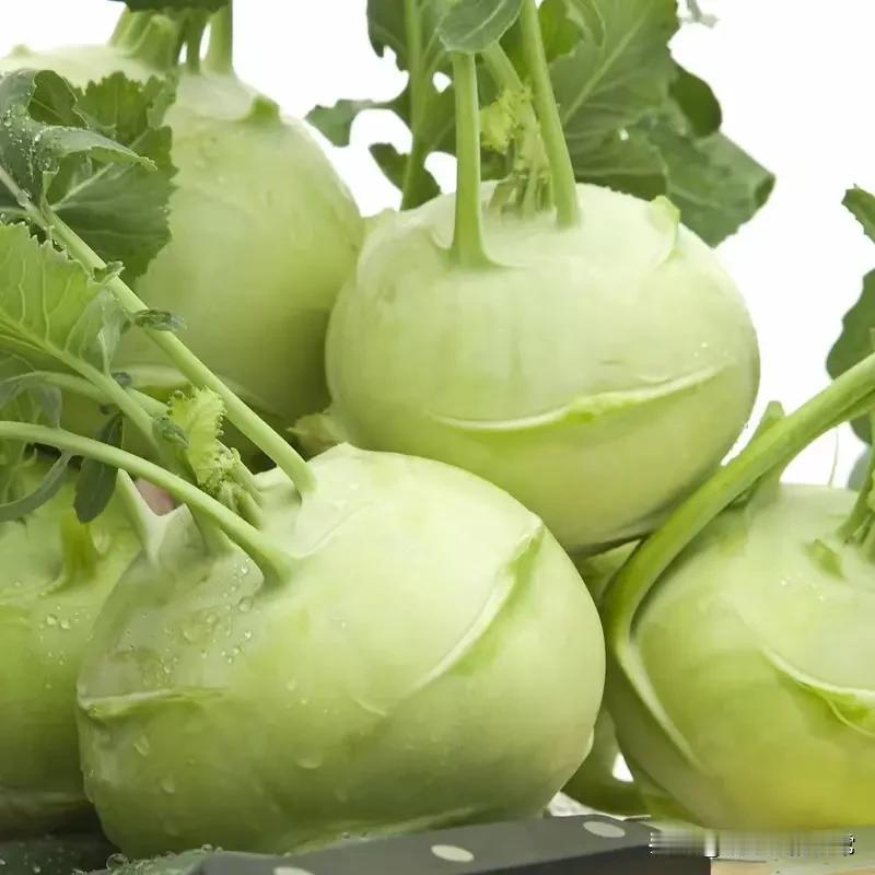 前两天，去江苏大学附近超市买菜了。最近一段时间，我以为买的韭菜都是大棚韭菜，谁知