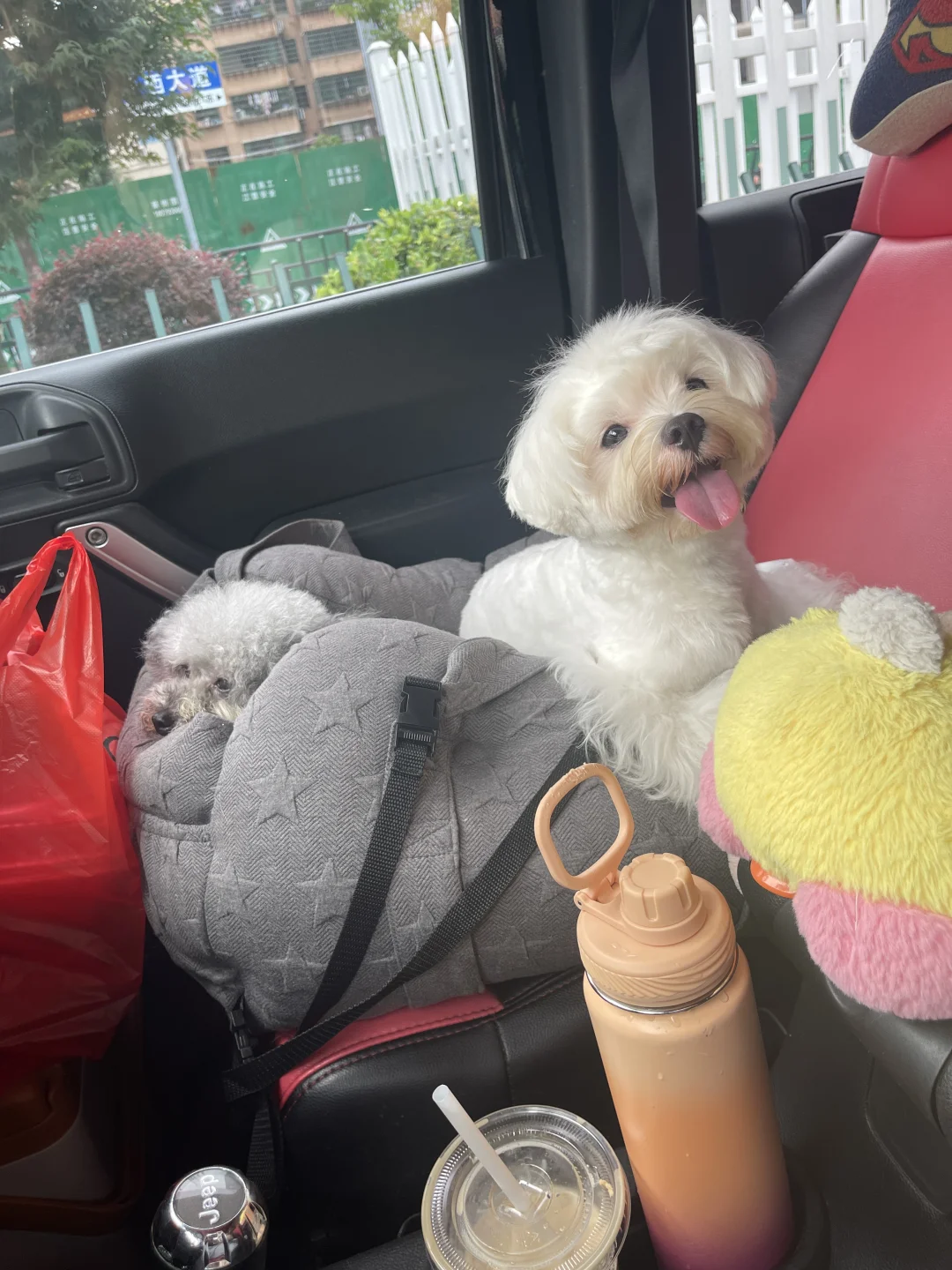 给我看看你们的开长途副驾搭子