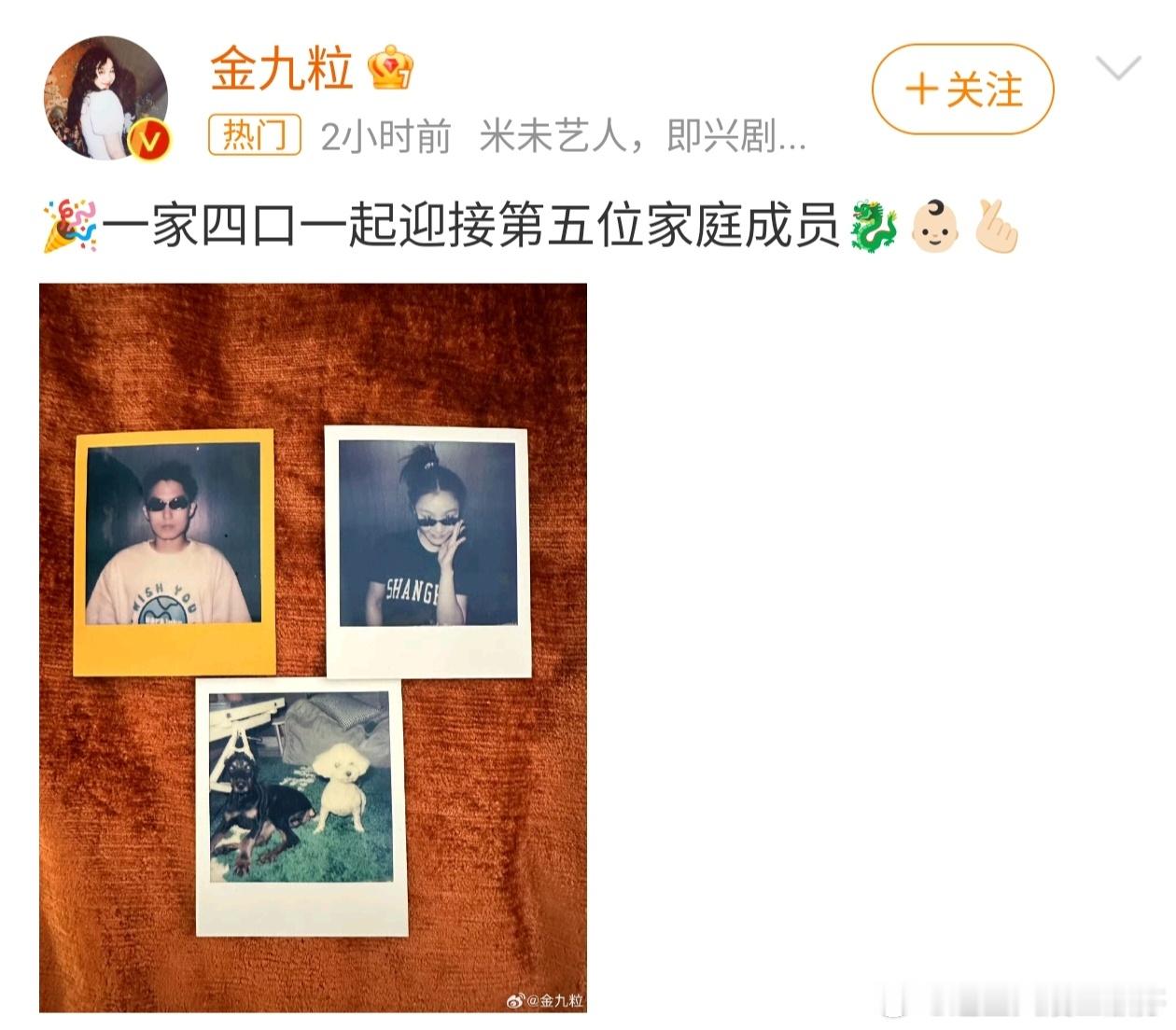 #金靖怀孕录的萌探4# 金靖好敬业啊[鲜花]在录制萌探时就怀着孕，要不是今天突然