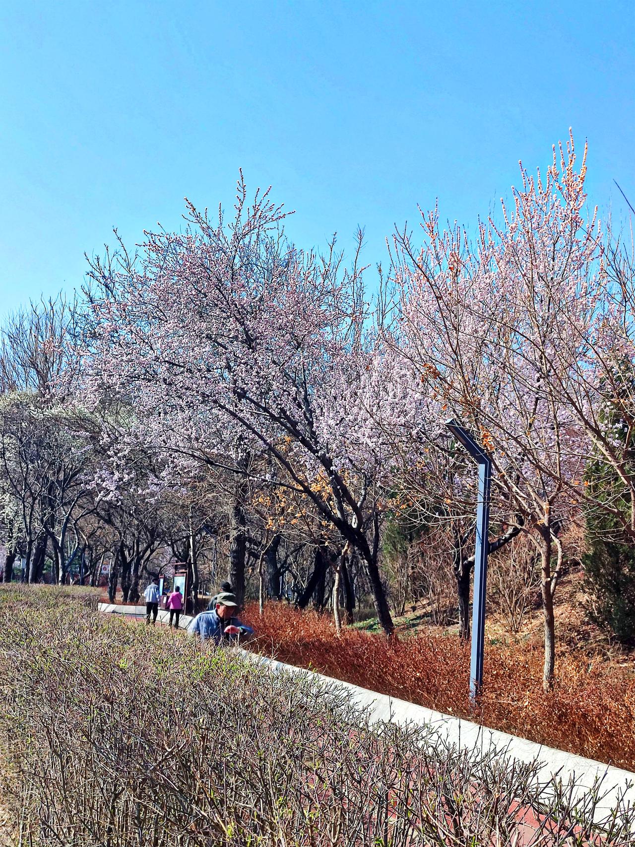 劳动公园景色一观
    沈阳劳动公园是铁西区最大的综合性城市公园，面积34.7