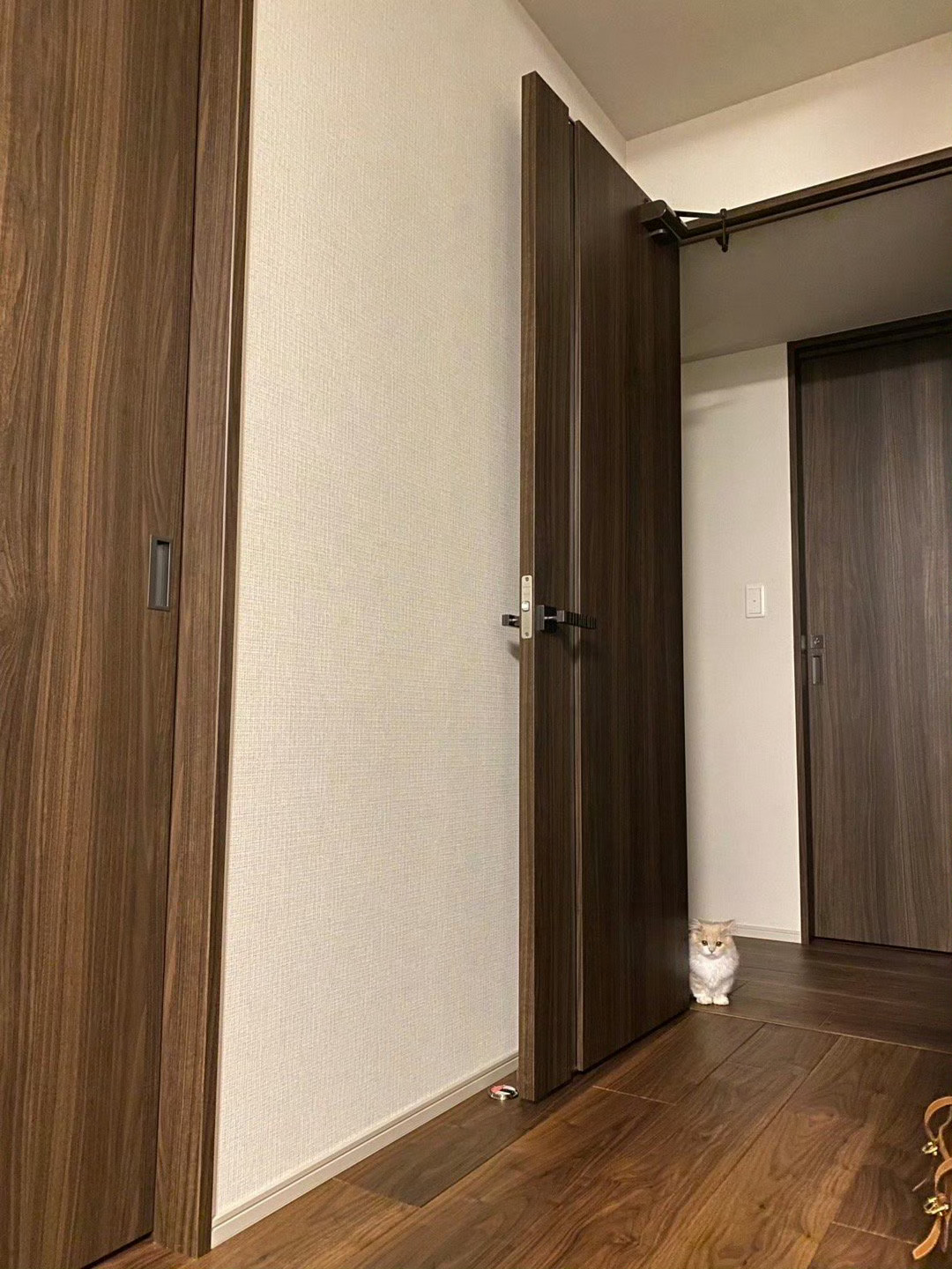 这个点，肚子饿得咕咕叫，咋办…… 