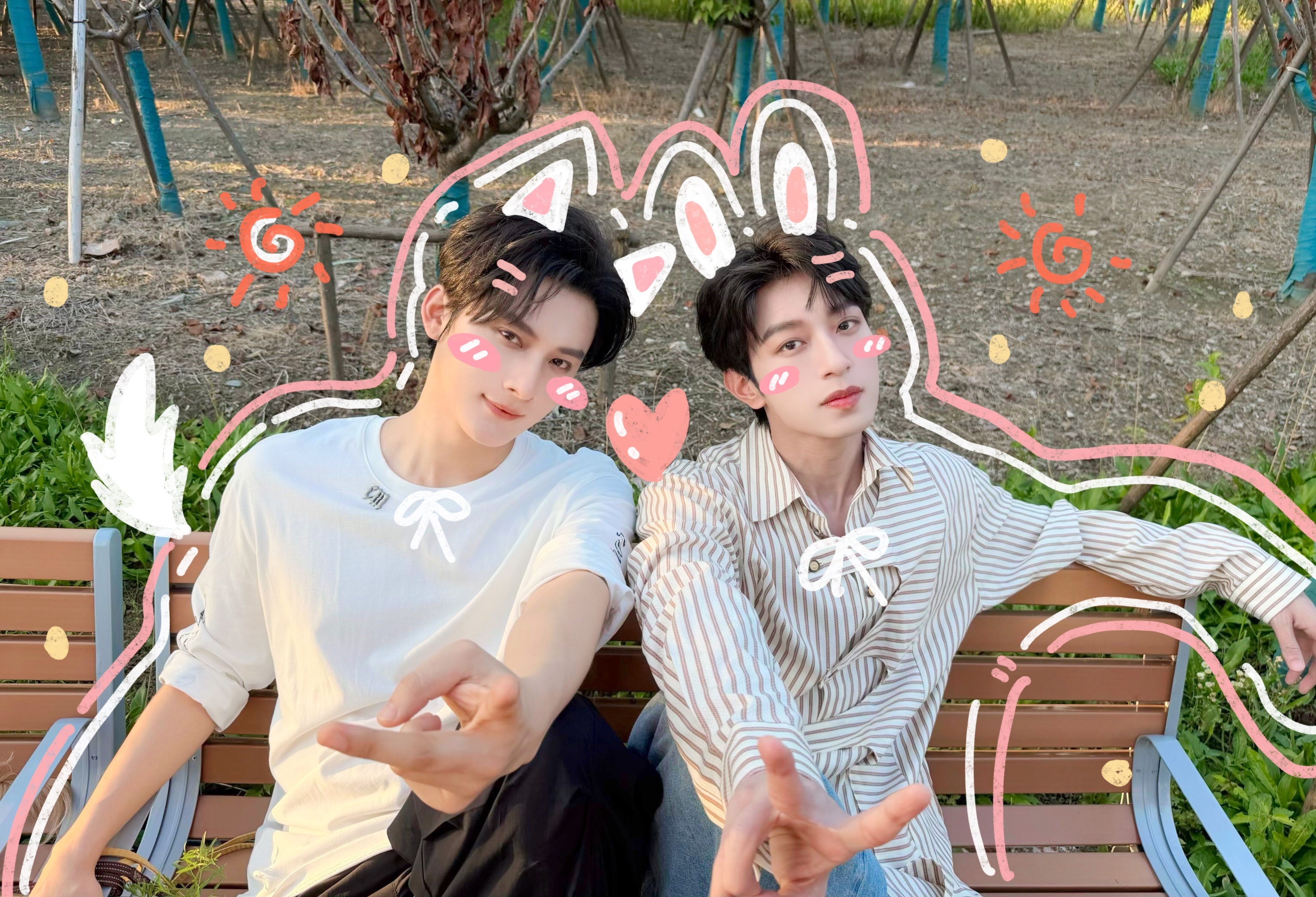 🐕🐕 ​​🐕🐰 ​​​