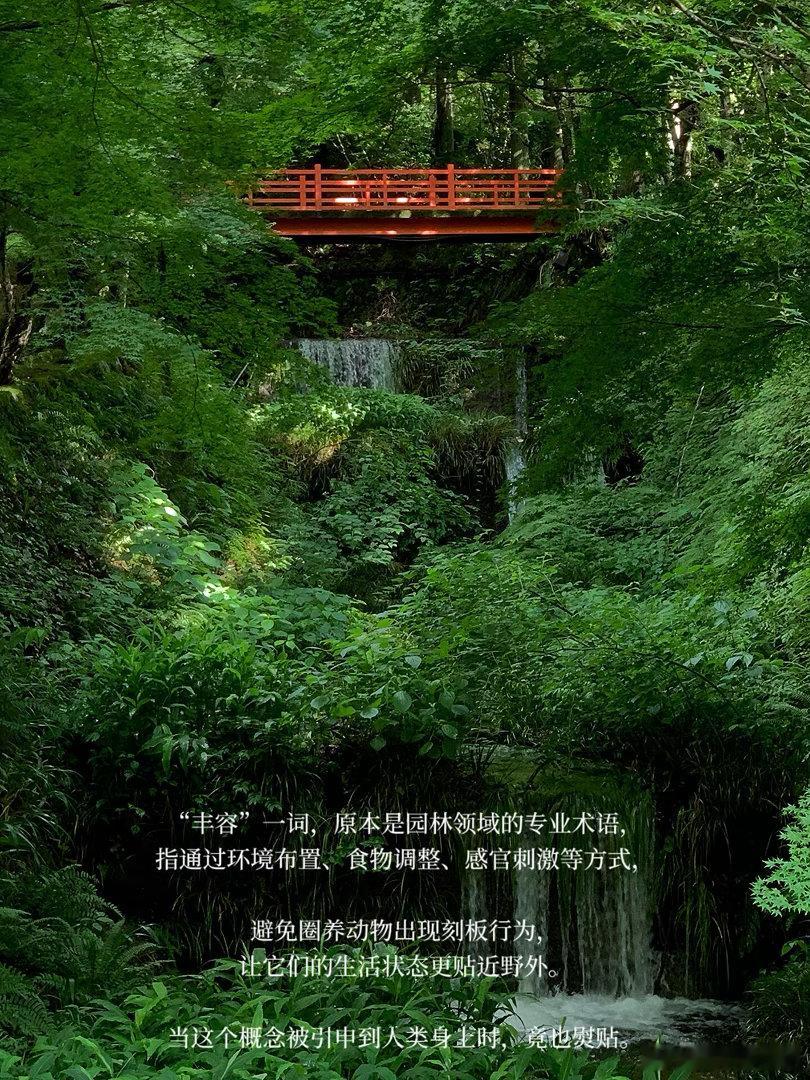 人类只有百分之七的交流需要语言咱不用逼自己事事都做得周全，反而那些不用说话的时刻