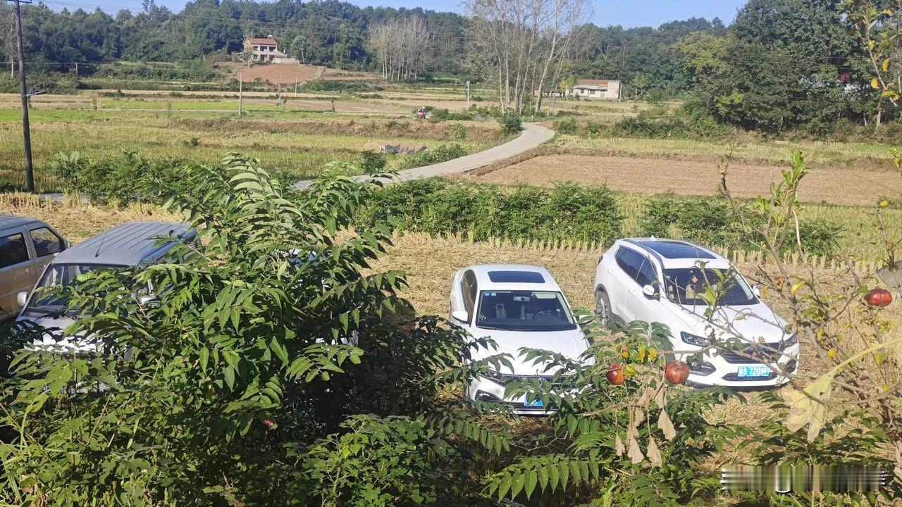 #秋日生活打卡季#
下联:迎新春四面来财
上联:祝喜庆八方致贺
        