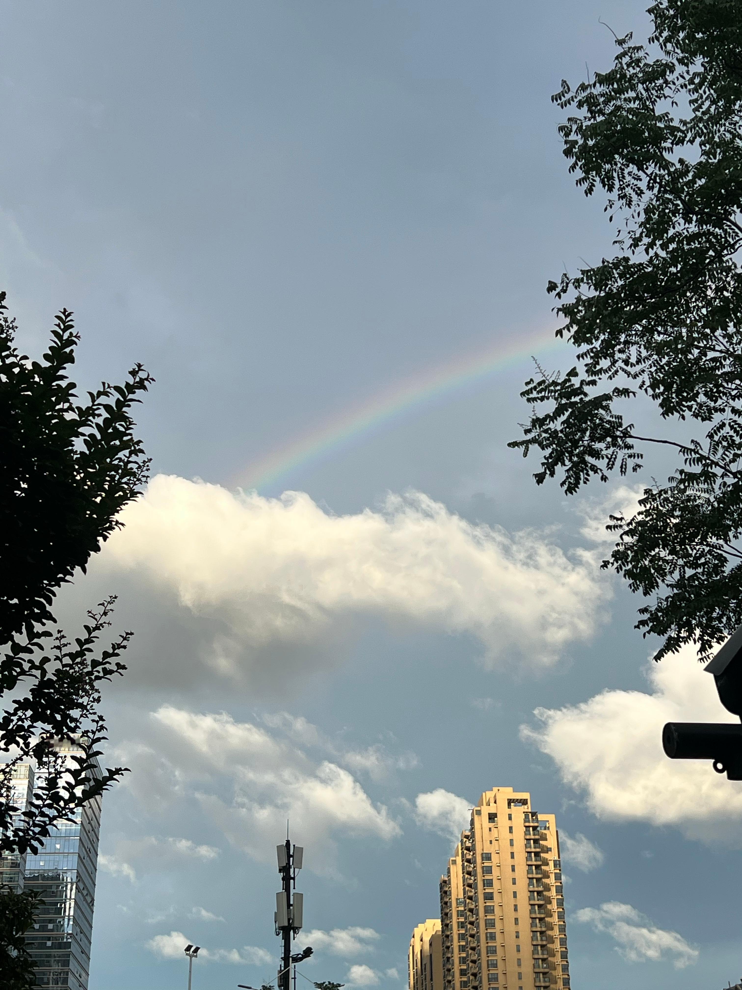 雨后会有彩虹🌈 ​​​