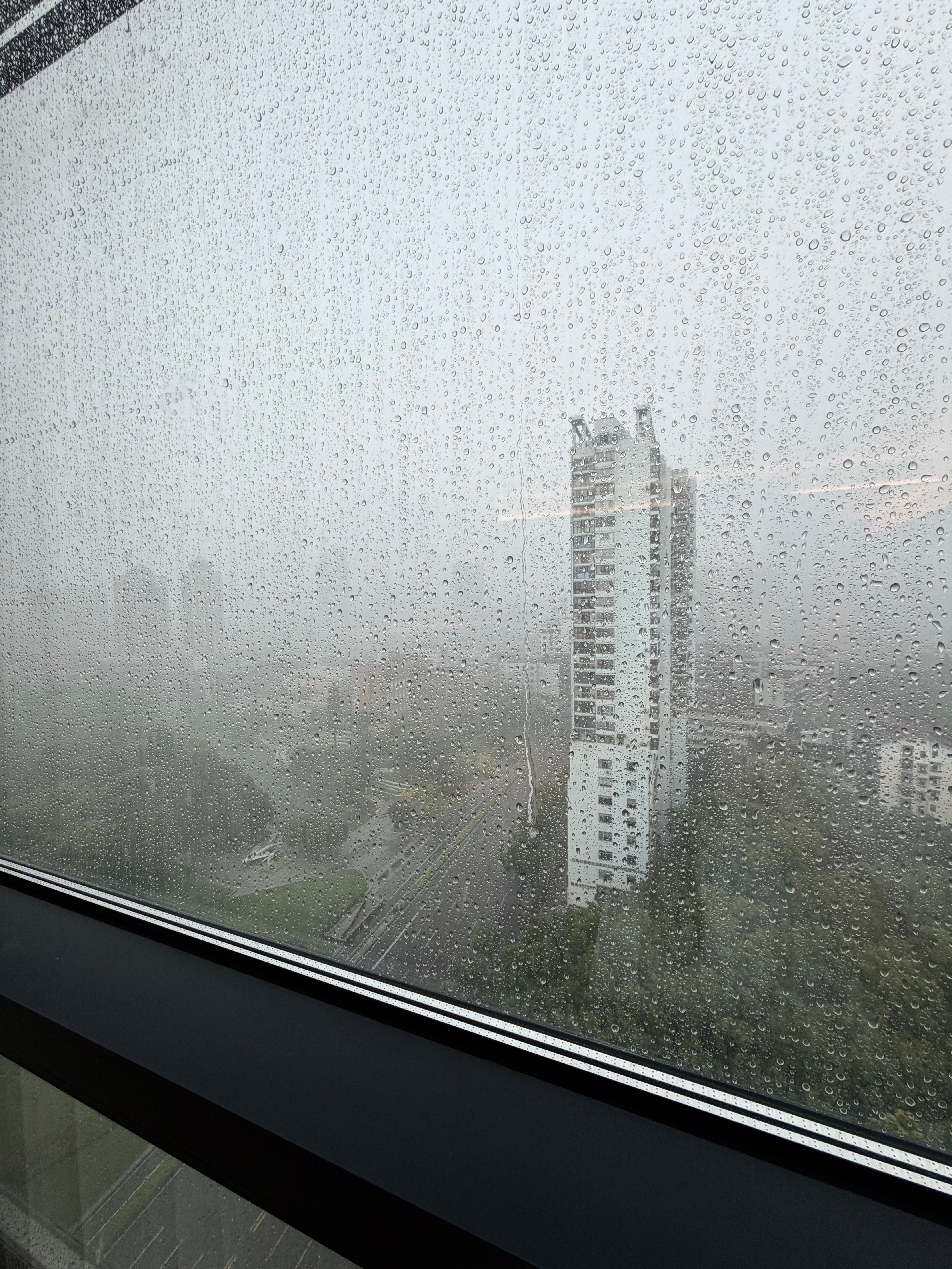 刚入住就下起了超级大暴雨 前面还有太阳来着 昨晚也是 我和粥粥刚到家没几分钟就下