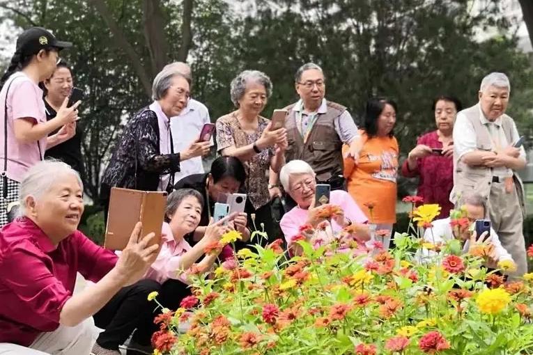 谁规定老了就只能遛弯带娃？

我们生活中退休后，活得比上班时还精彩。

西安碑林
