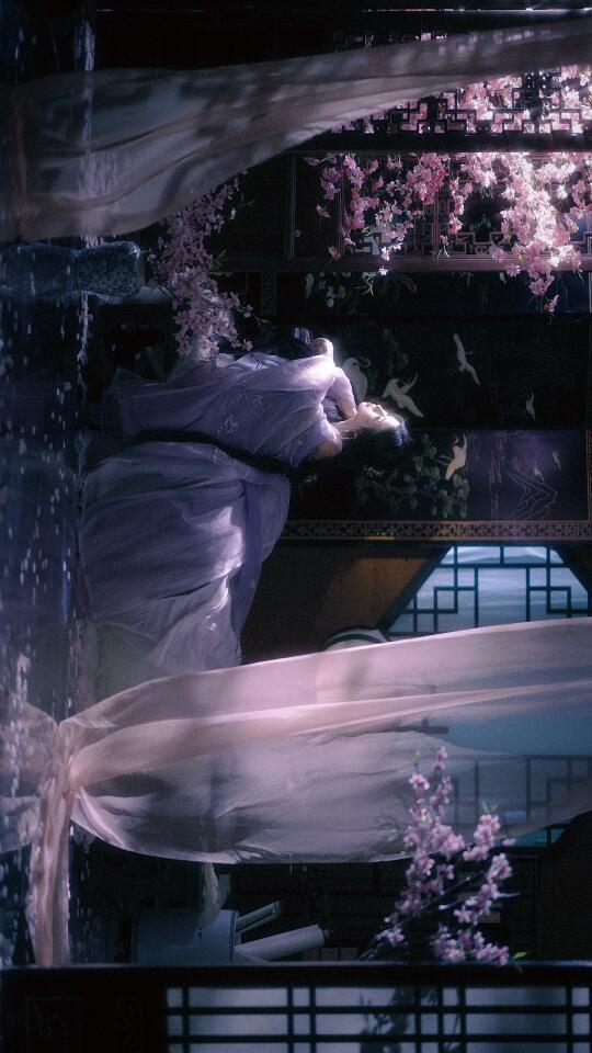 凌晨四点海棠花未眠