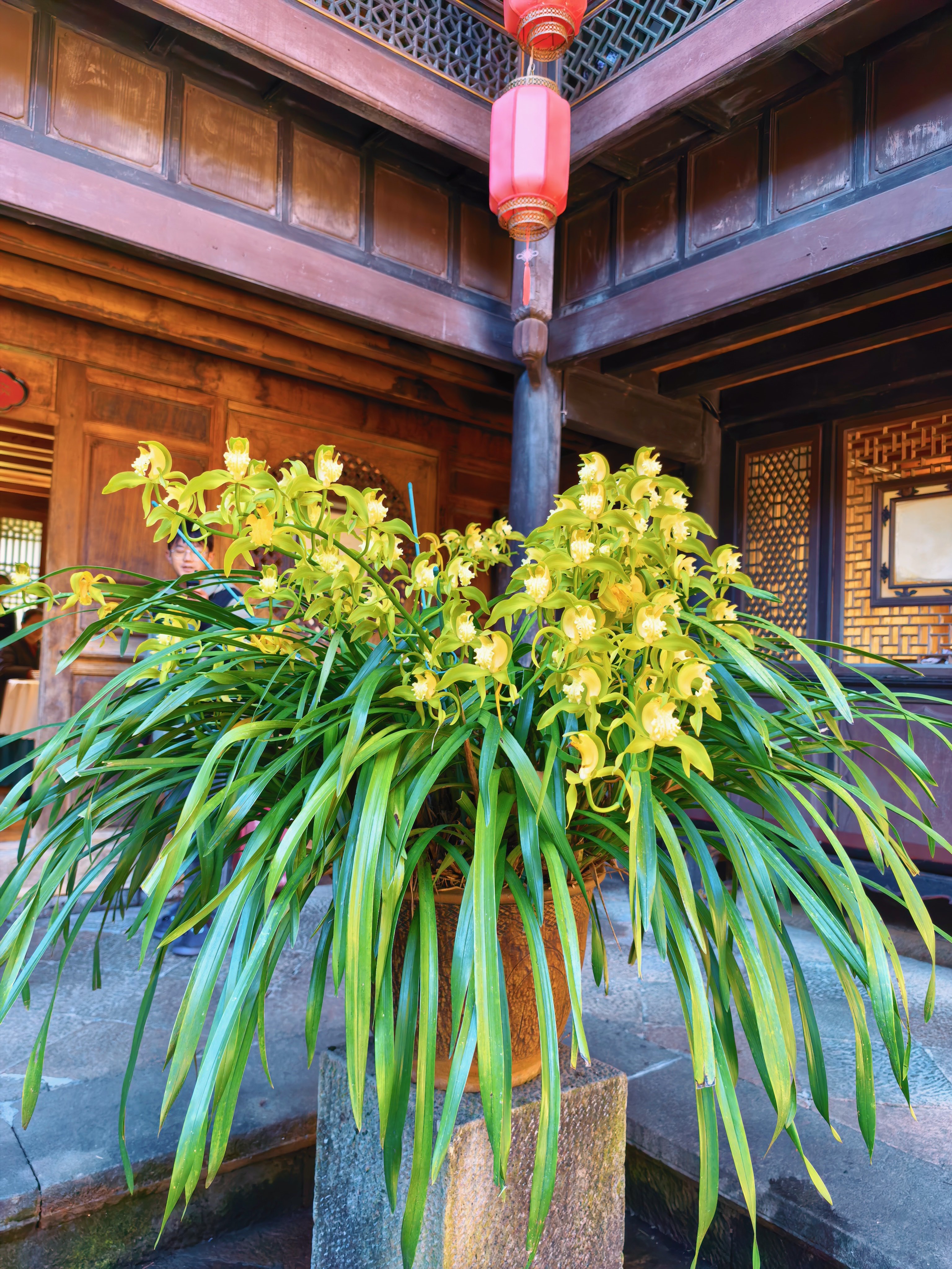 走过路过尝过。第二次腾冲之旅。 