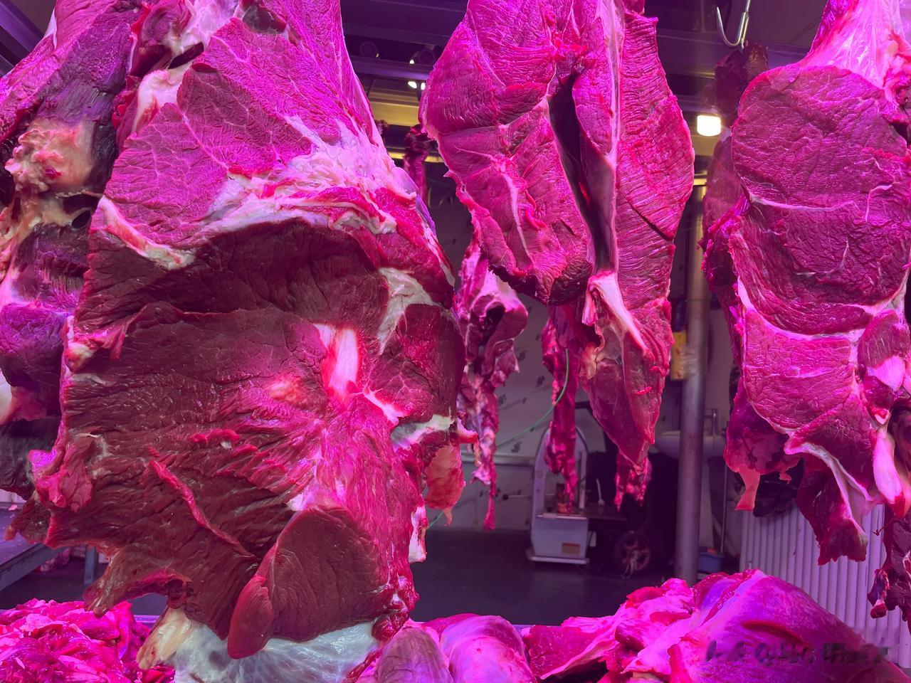 #乌鲁木齐头条# 总算是降价了，本地肉，真的新鲜，今天十一买肉的人真是不少，比起