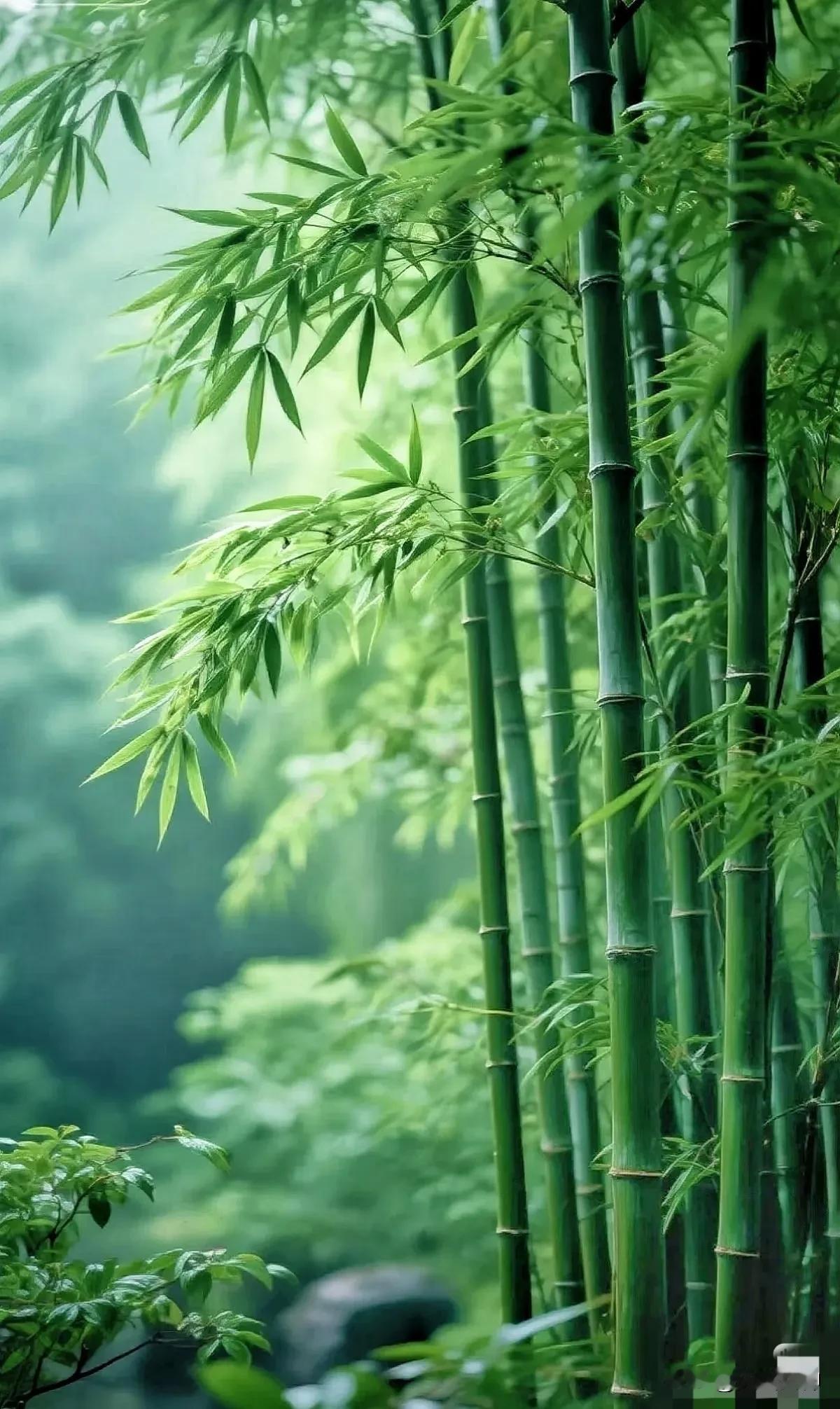 全网求对！能接住这联的才是真文青，意境平仄全在线的狠活来一个🙌
别觉得看着简单