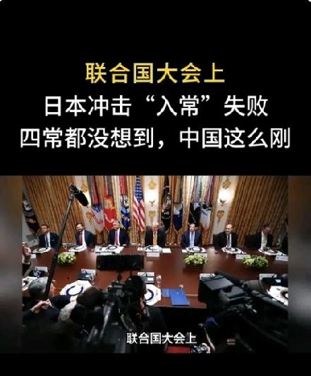 熊猫外交这次又亮大招了！
在联合国大会上坚决行使否决权！
日本入常的愿望彻底落空