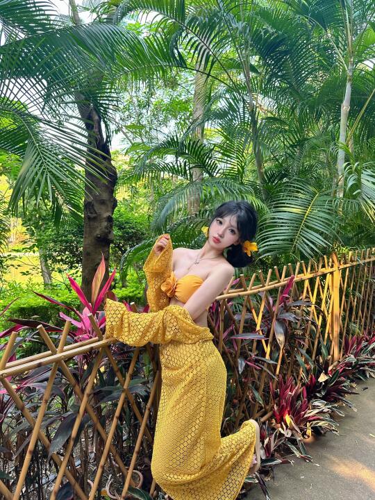 傣里傣气🐘🥥🌴🌳