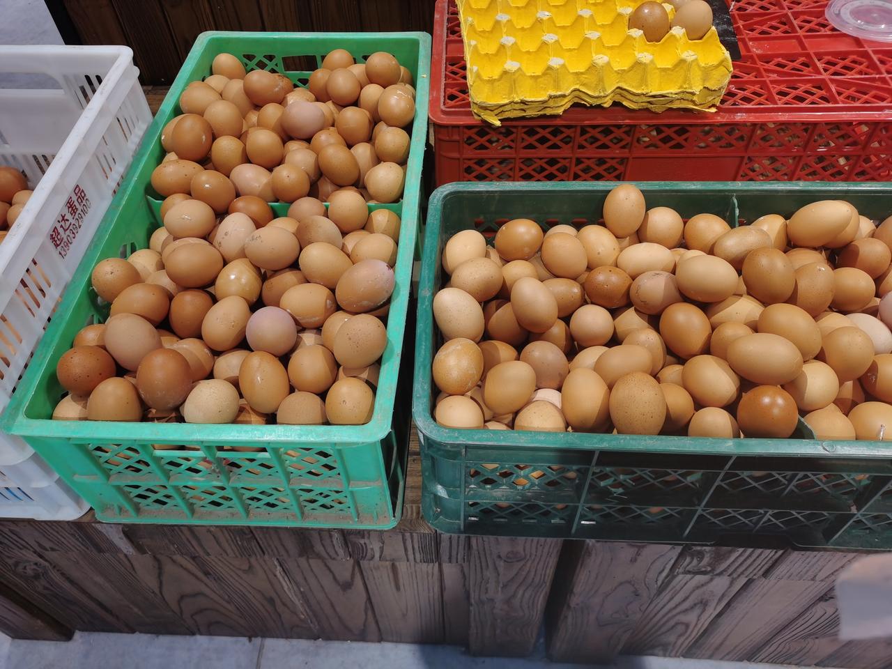 看看郑州的鸡蛋涨到多少钱一斤
今天去刘先生超市里买鸡蛋，
红皮蛋4元4毛9一斤，