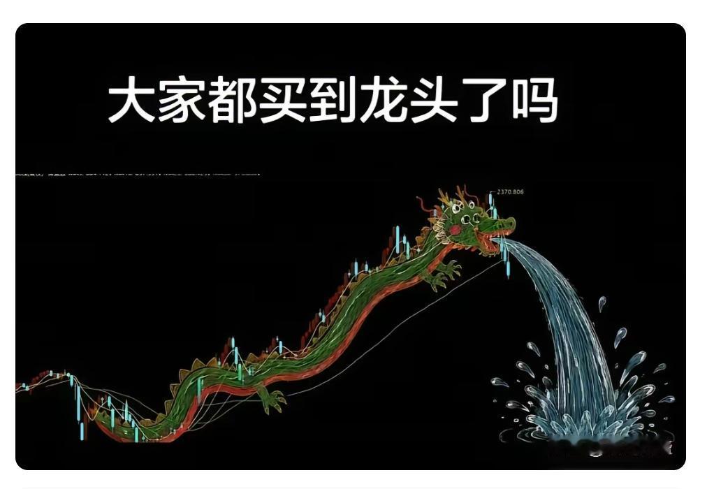 散户在A股里都想买龙头股，不过今年6月份买到啥这科技、那科技龙头股，到现在估计亏