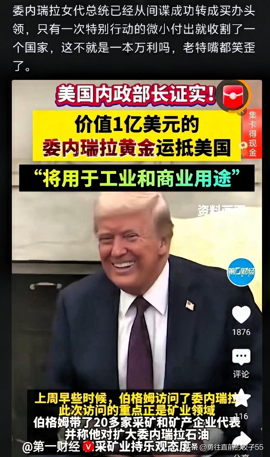 【特别行动：间谍女总统的买办转型】女代总统间谍出身，成功转型买办头领。某国成功女