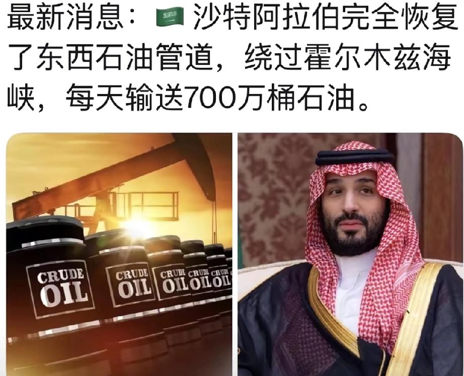 终于知道，巴基斯坦军队进驻沙特的主要目的和任务了。
​巴基斯坦派出的不是防空部队