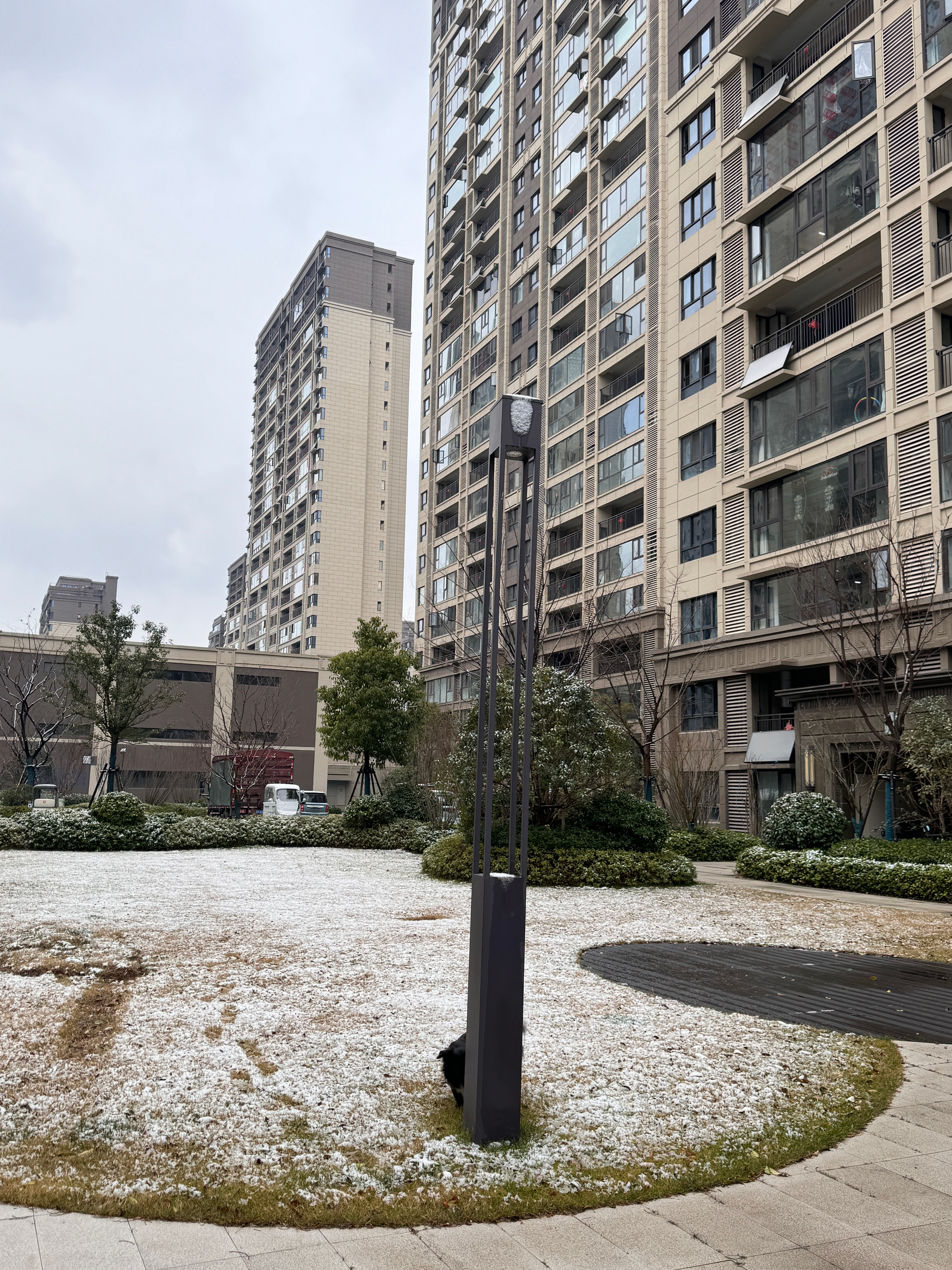一觉睡醒下雪了除夕快乐宝宝们谢谢你们看了我一年又一年 祝你们发大财